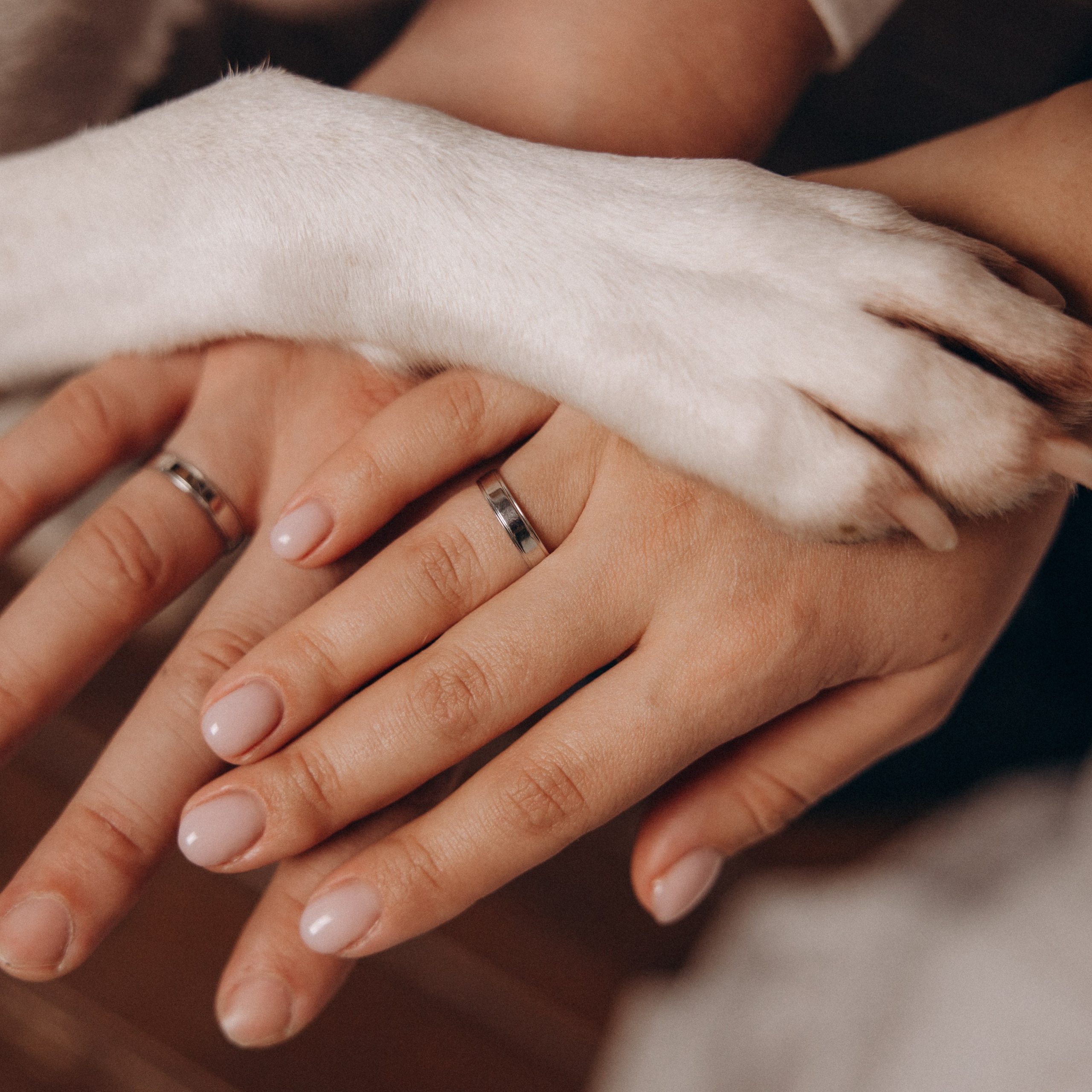 История любви