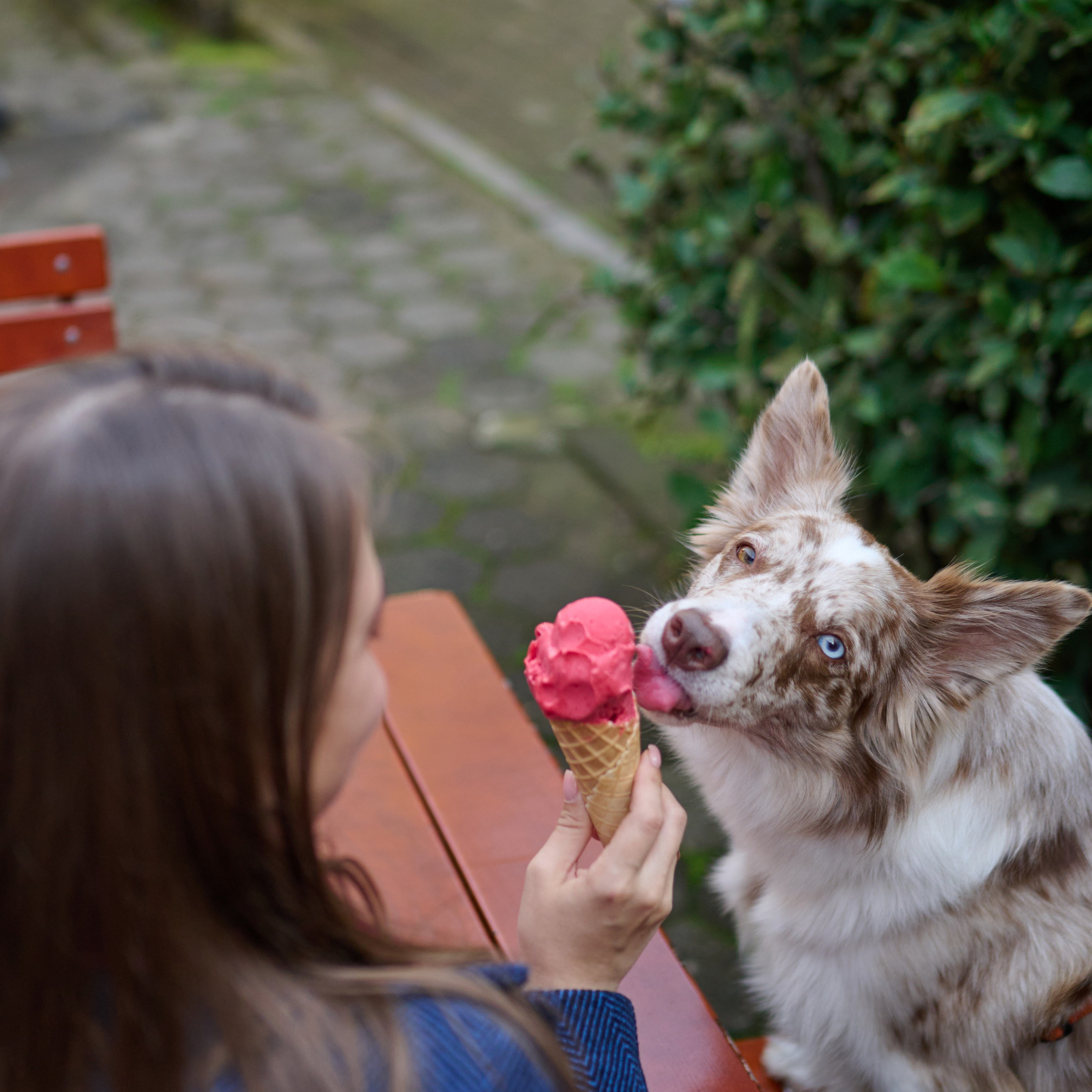 Полина и Бени