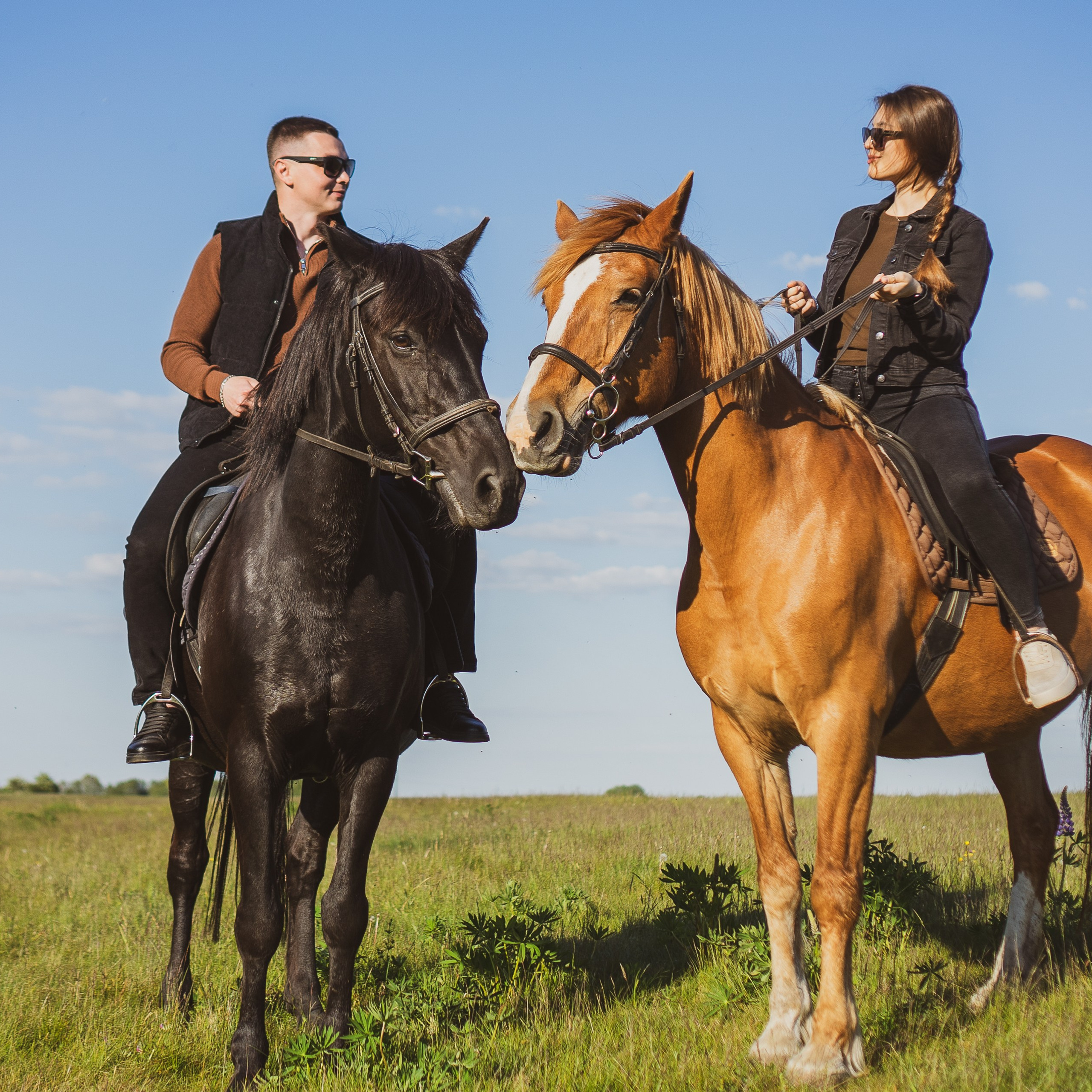 Конные прогулки