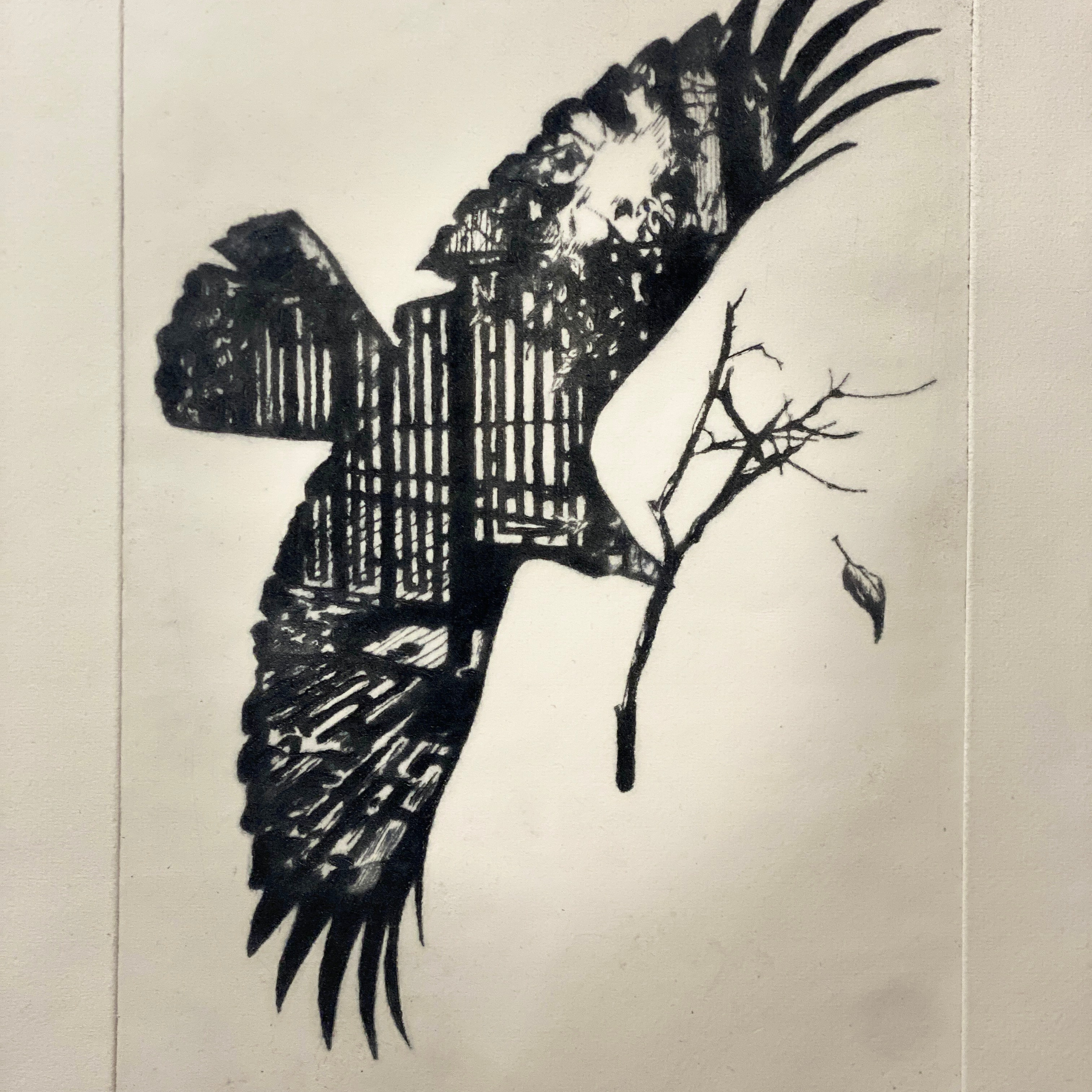 «ПОЛТОННЫ ГРАФИКИ». Ассоциация художников монументалистов г. Москва