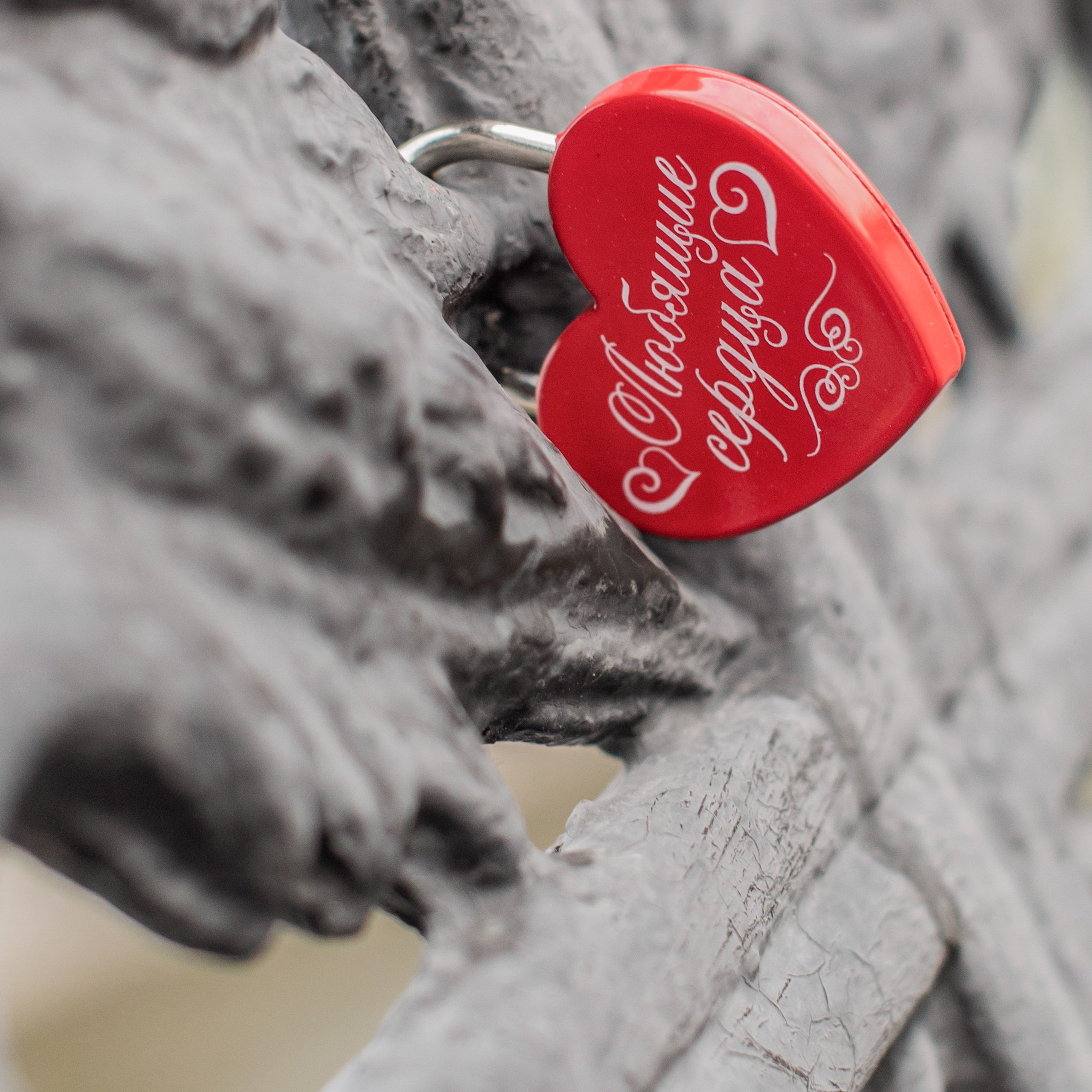 Роман и Мария. ФотоВидеоСъемка свадеб и мероприятий