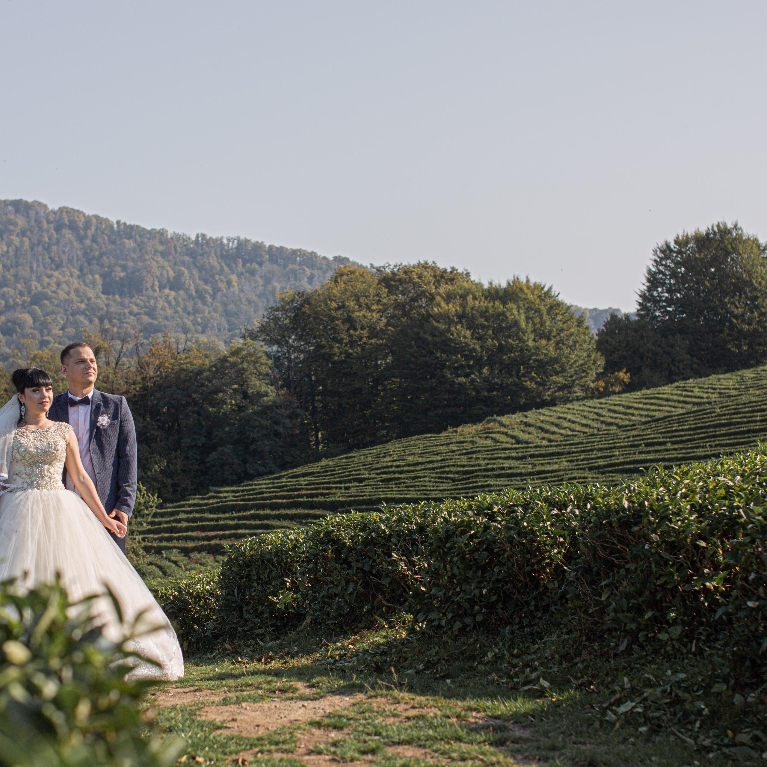 Александр и Анна. ФотоВидеоСъемка свадеб и мероприятий
