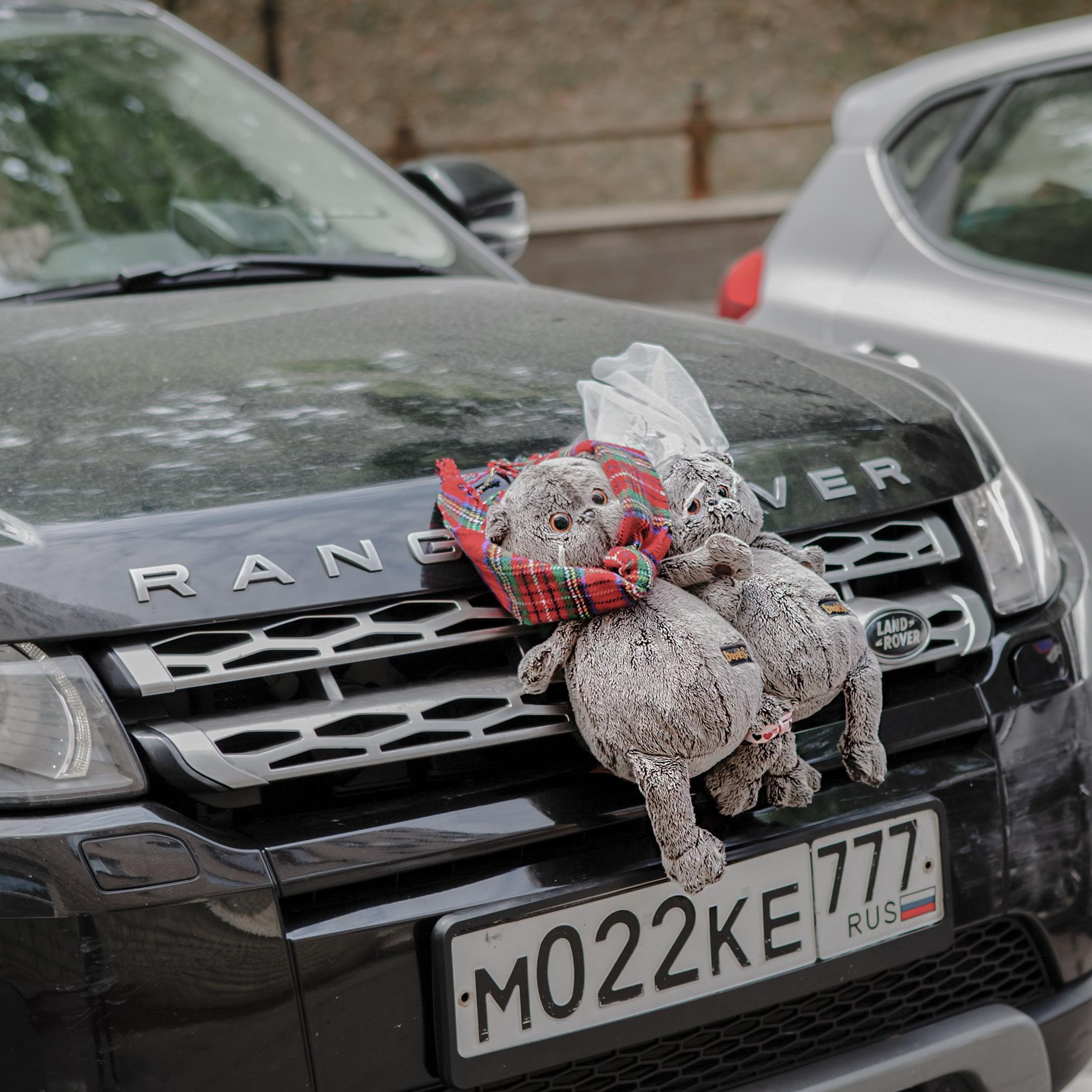 Евгений и Яна. ФотоВидеоСъемка свадеб и мероприятий