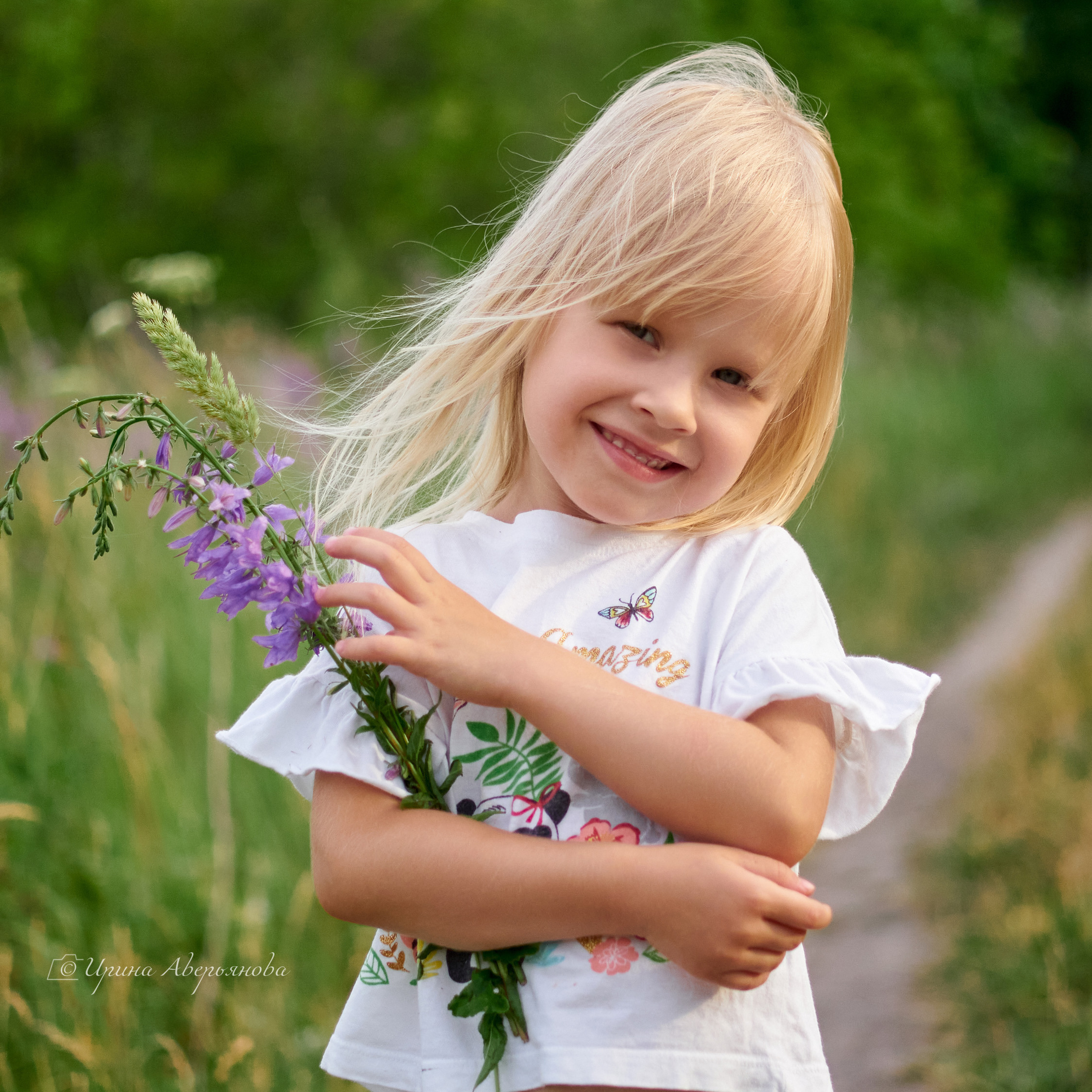 Поле с колокольчиками