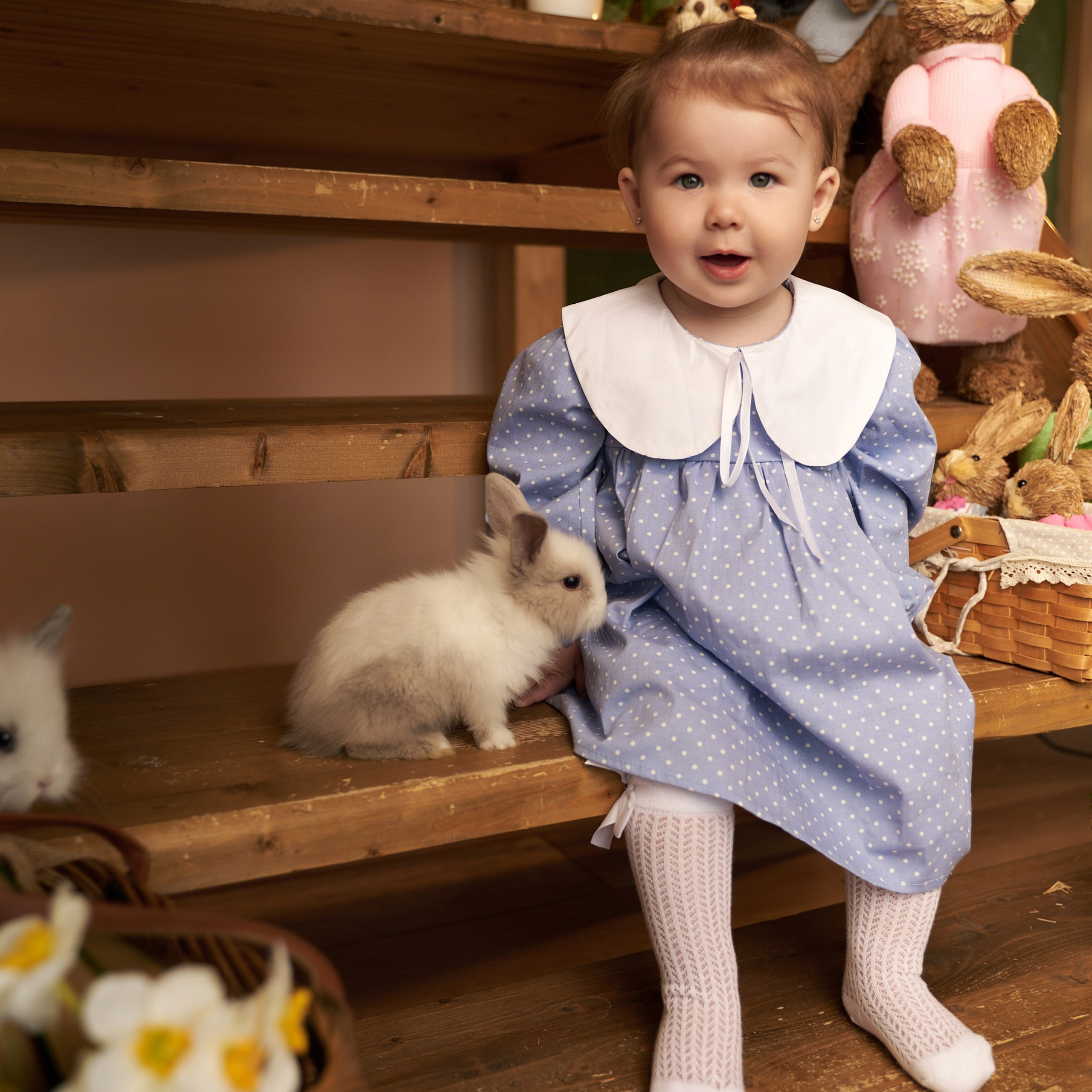 Фотопроект с декоративными кроликами