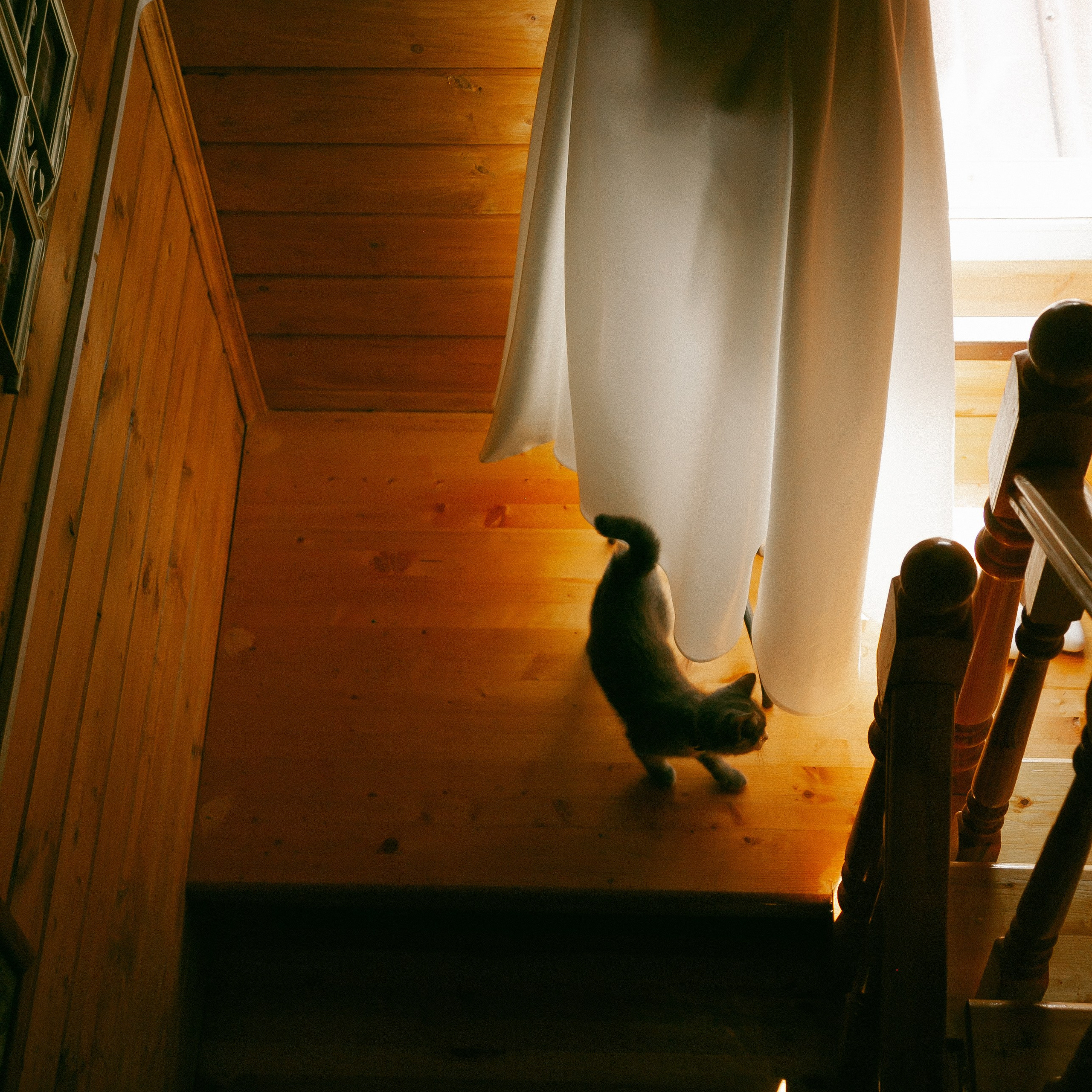 Сергей & Татьяна. Твой и семейный фотограф Лана Солнечная