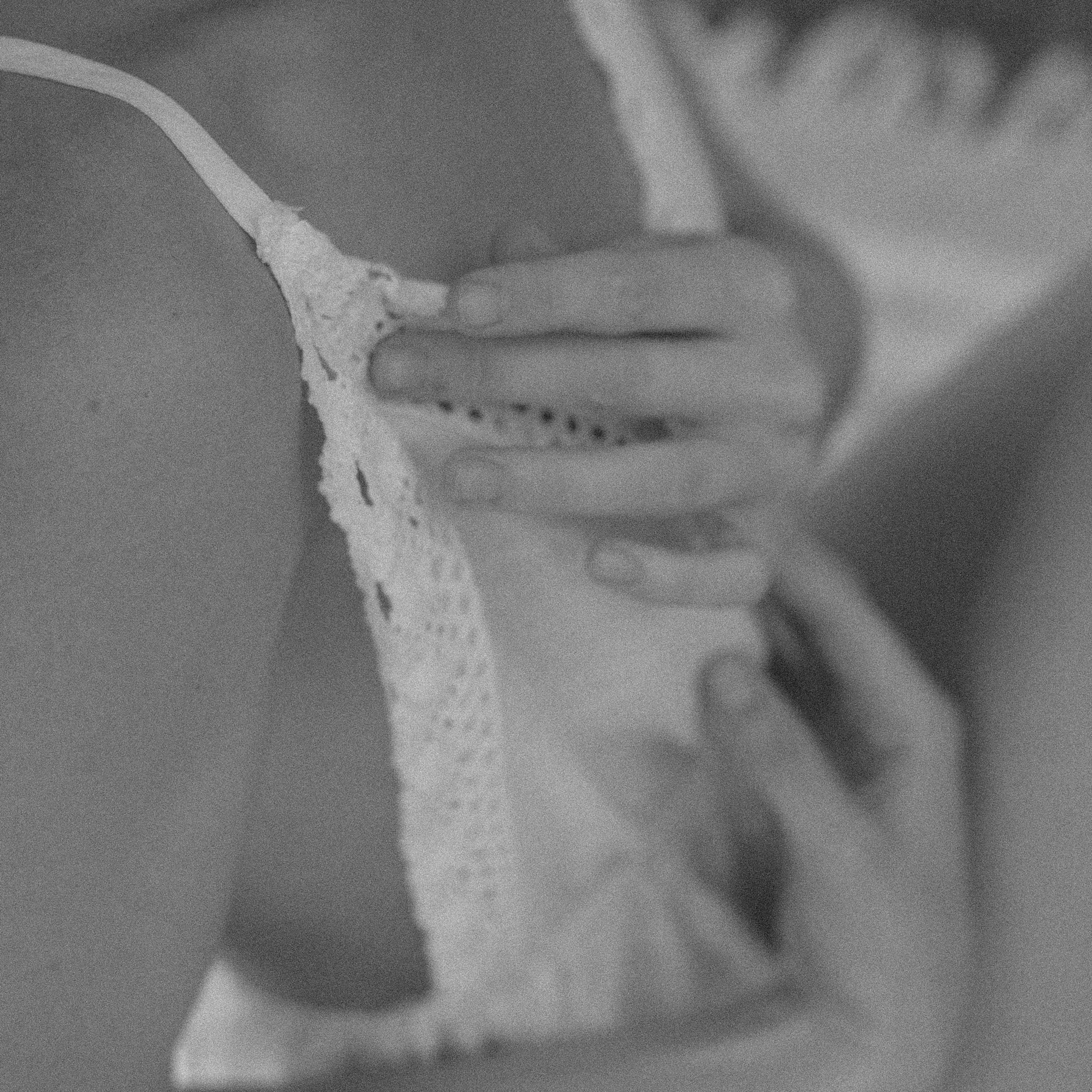 Станислав & Анастасия. Твой и семейный фотограф Лана Солнечная