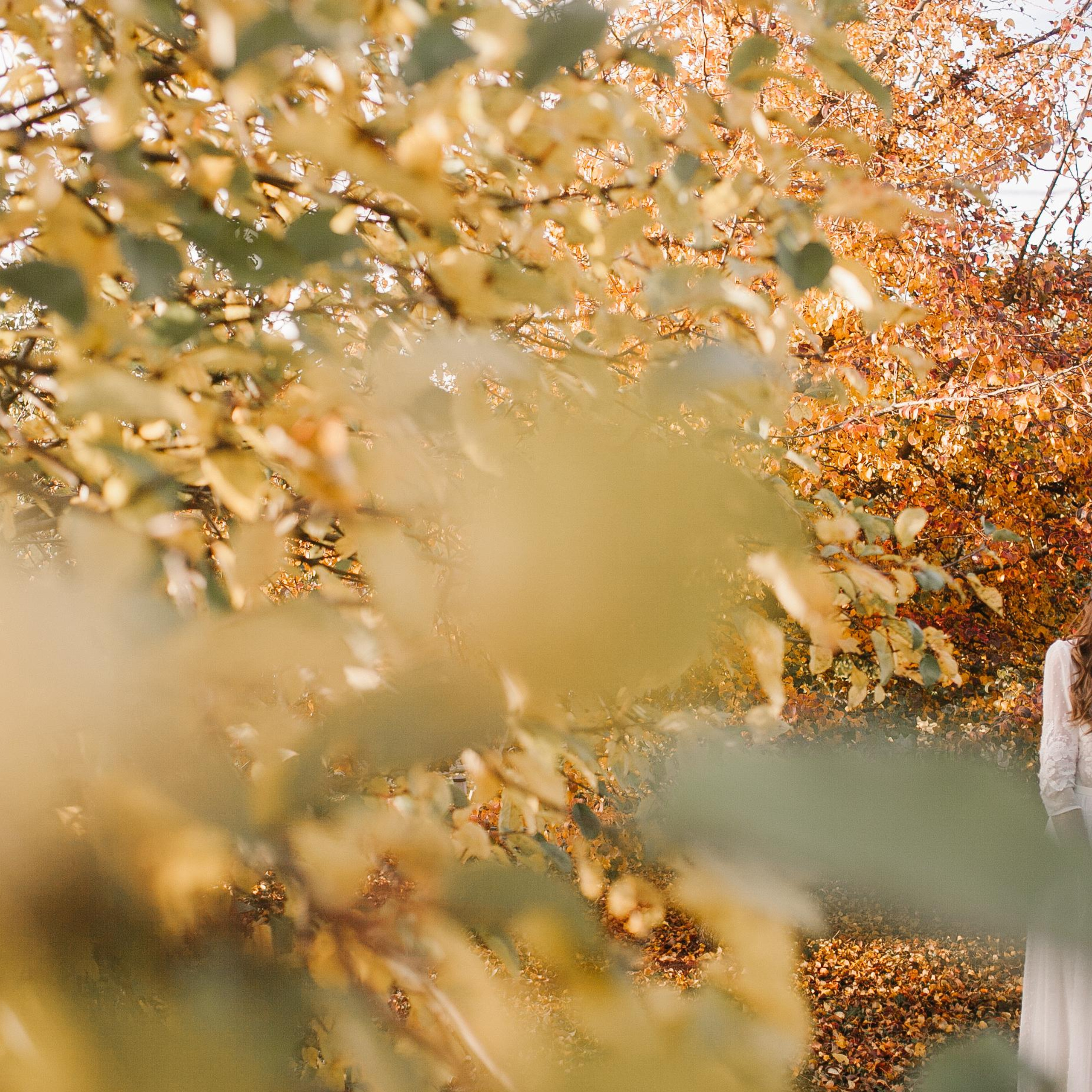 Дмитрий & Галина. Твой и семейный фотограф Лана Солнечная