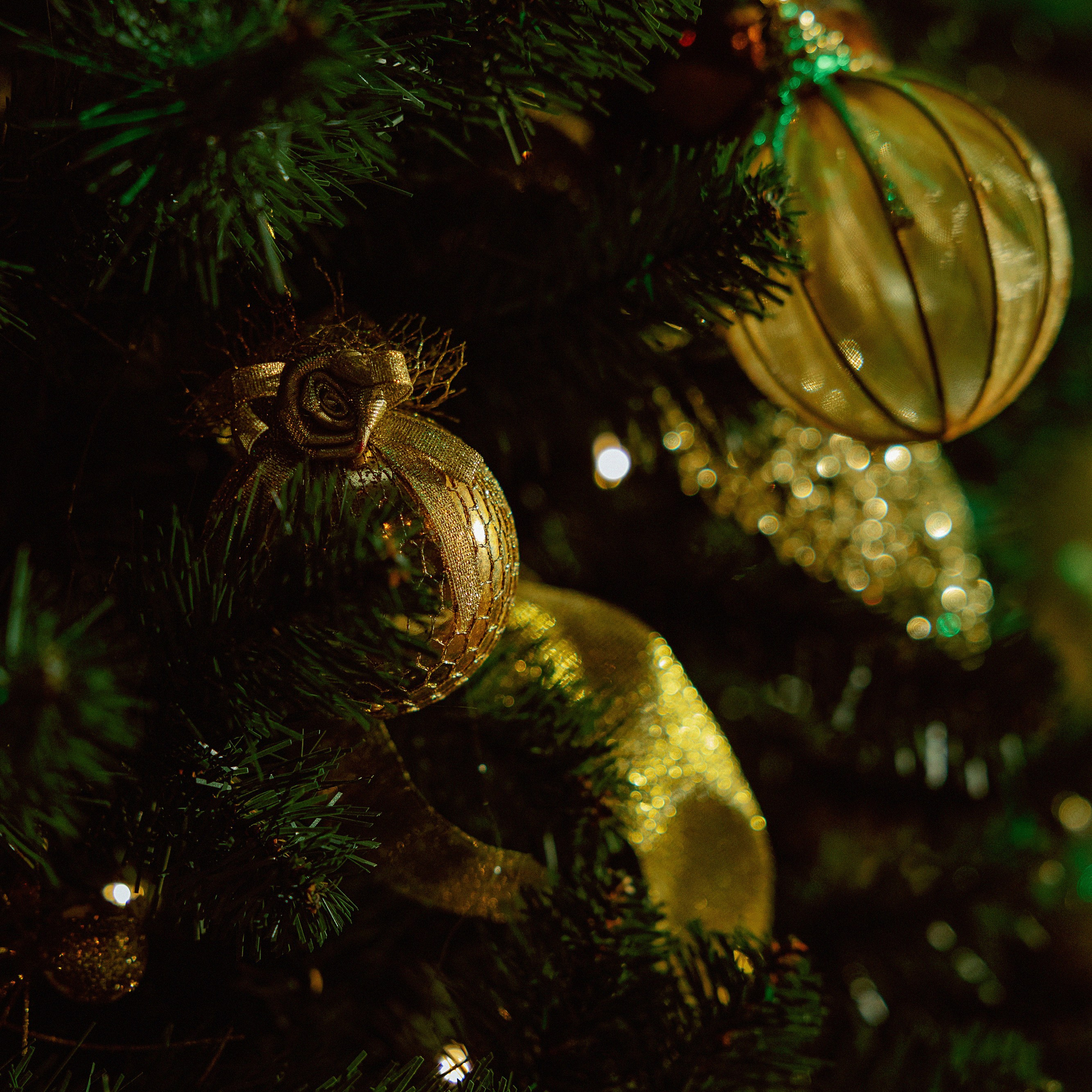 Отзывы. Фотограф в Самаре, Москве Снежана Фадеева