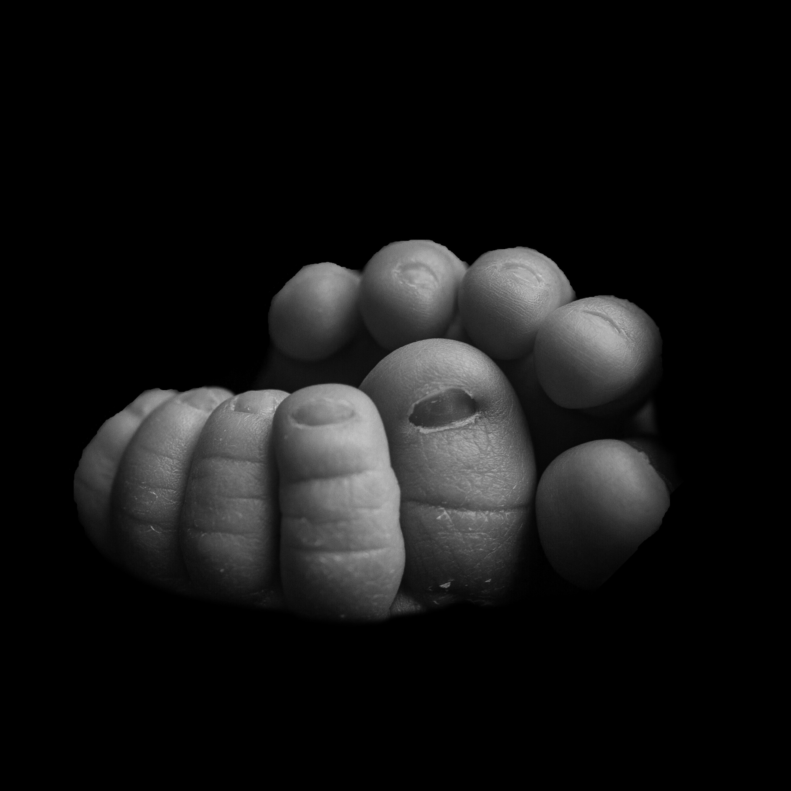 Макроснимки