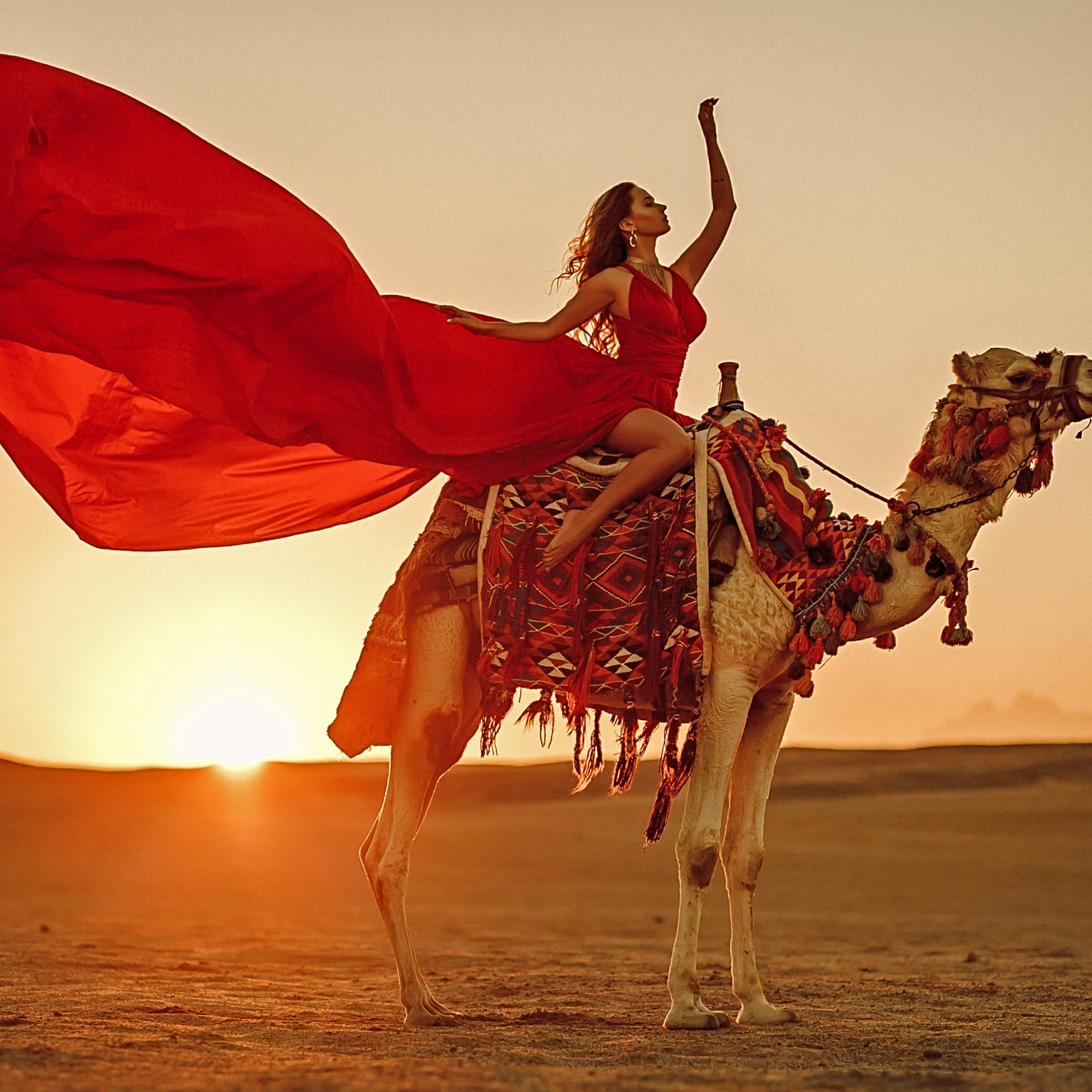 Фотосет с верблюдом