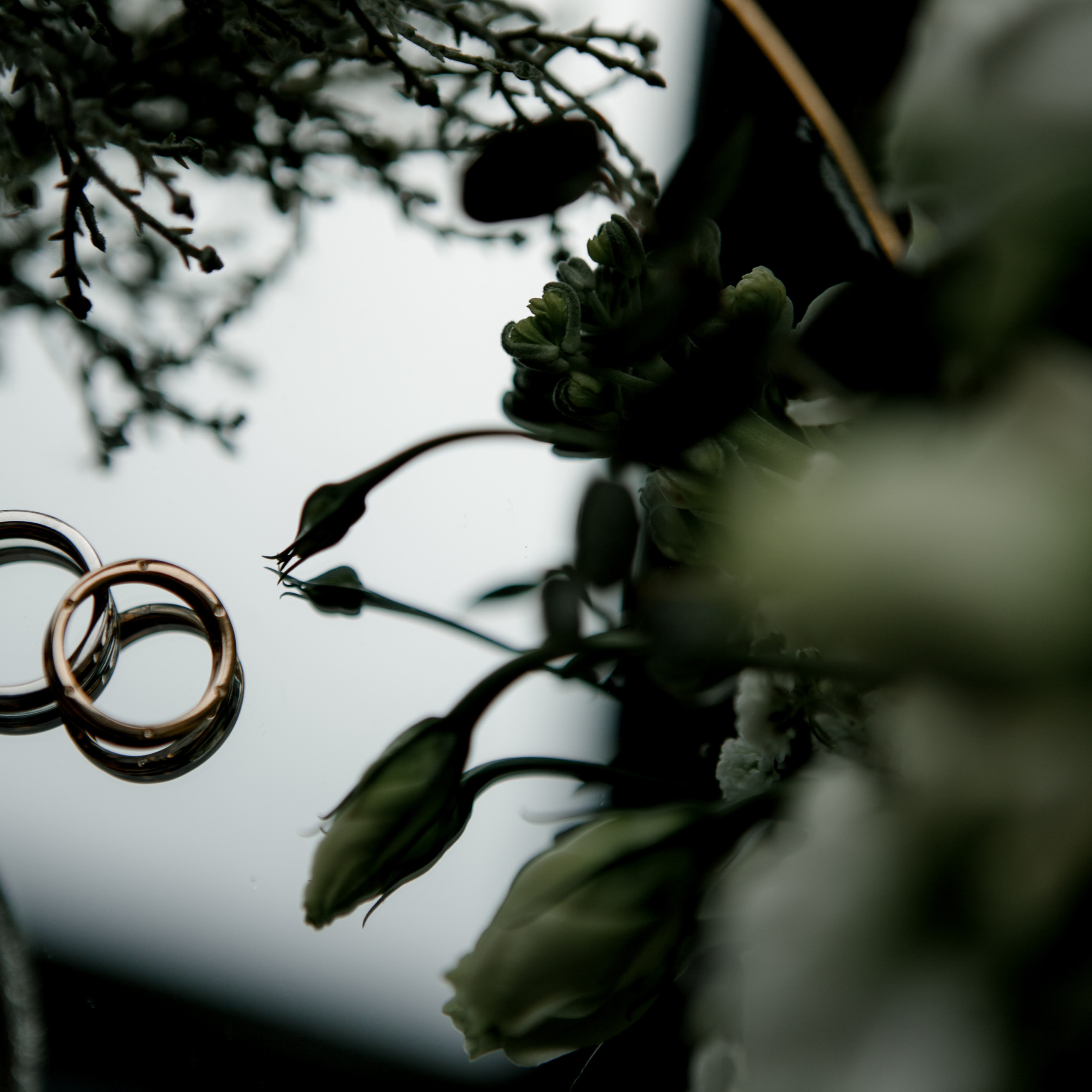 Евгения & Дмитрий