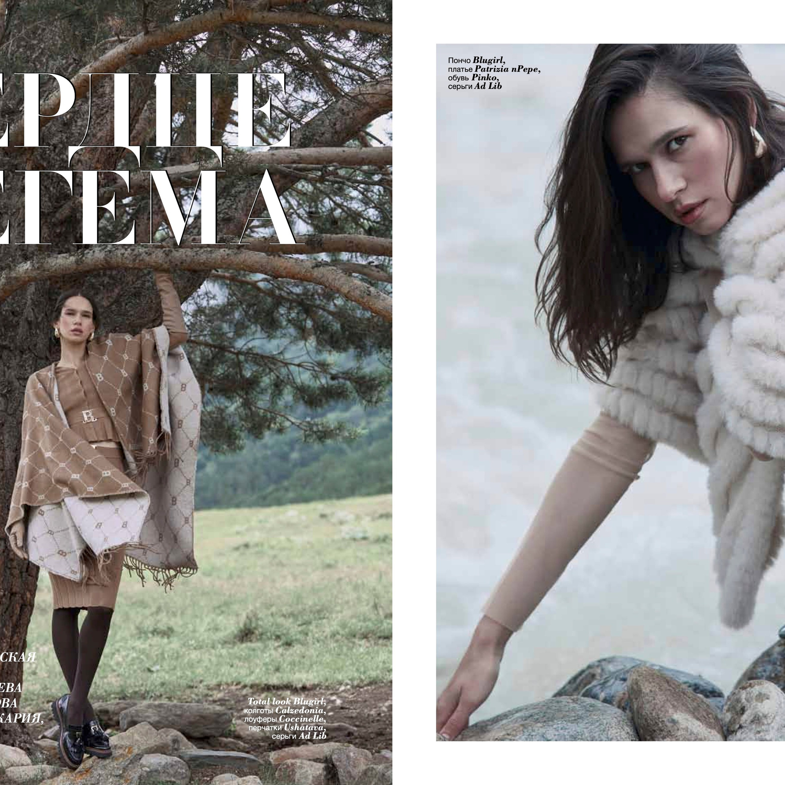 Сердце Чегема