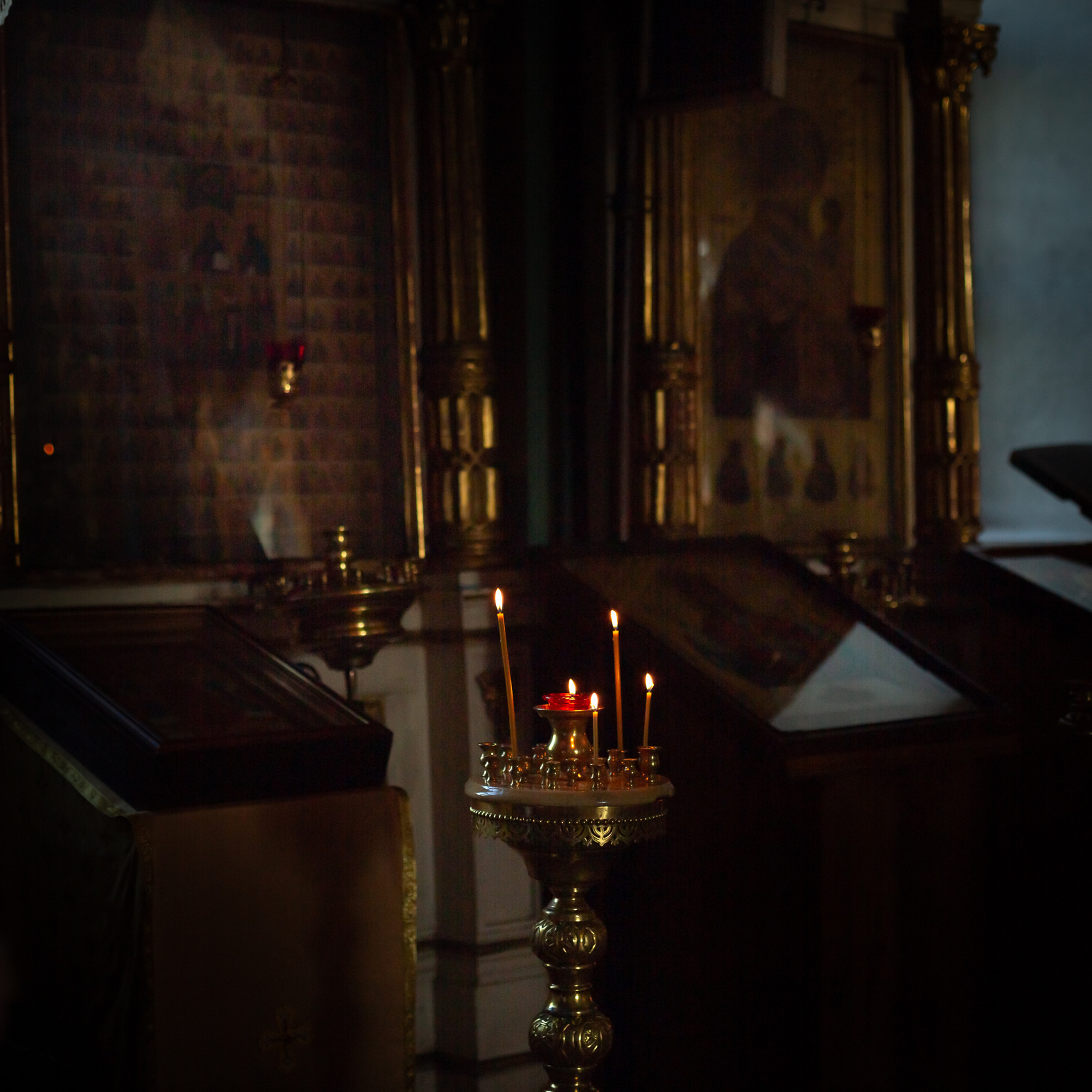 Отзывы. Семейный и детский фотограф Трафимович Ольга Москва и Московская облас