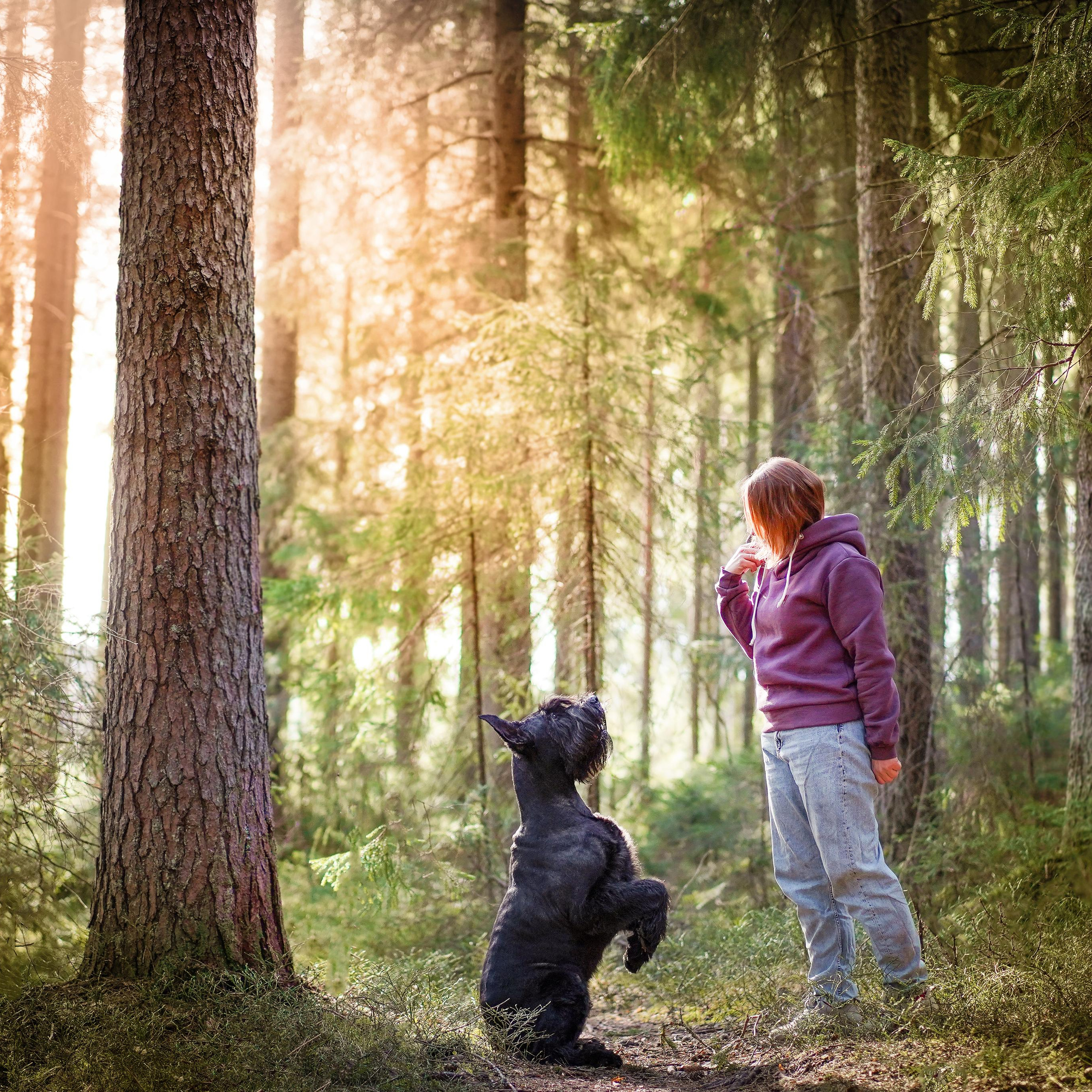 Оля и шнауцеры