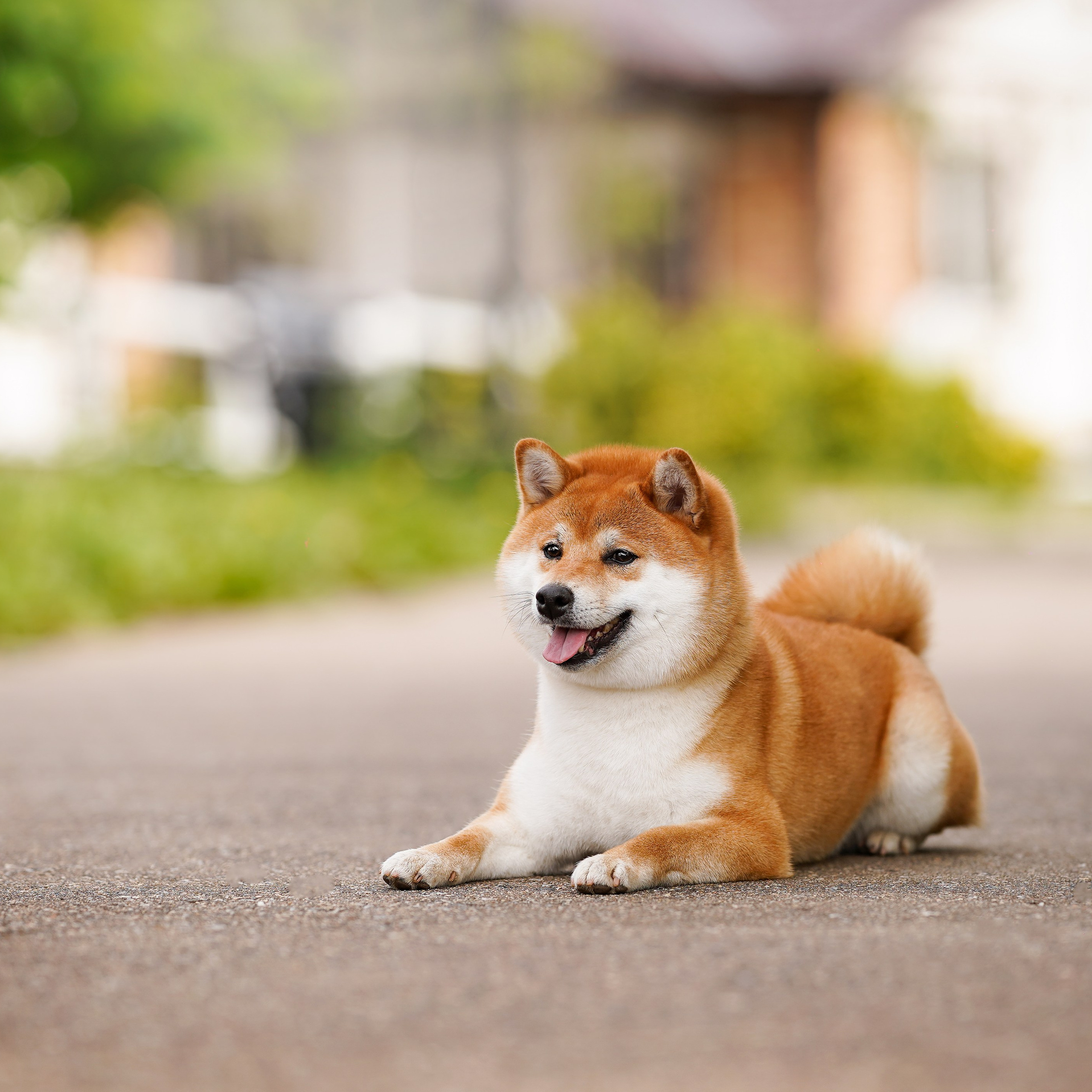 Выставки 2025