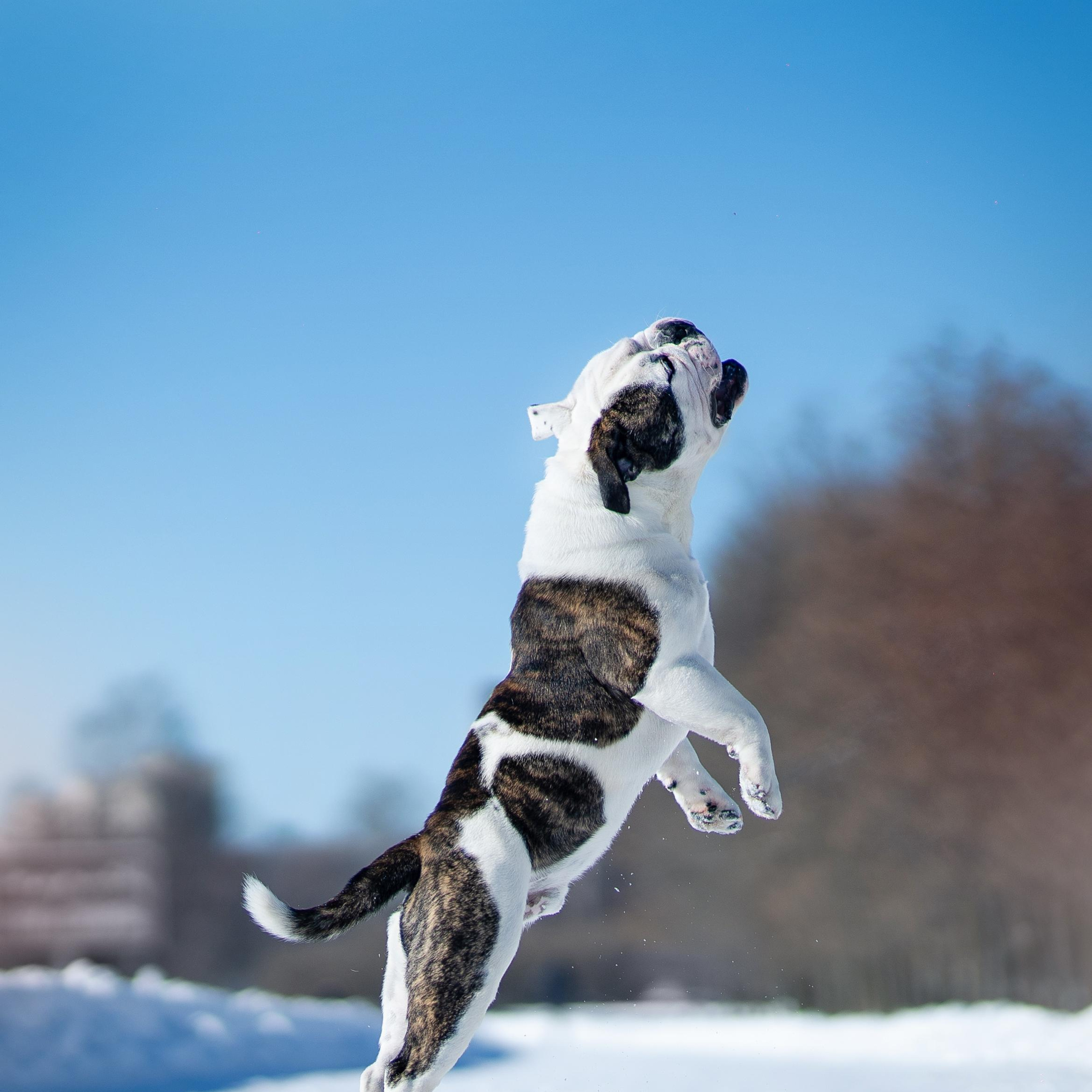 Наташа и Прайм