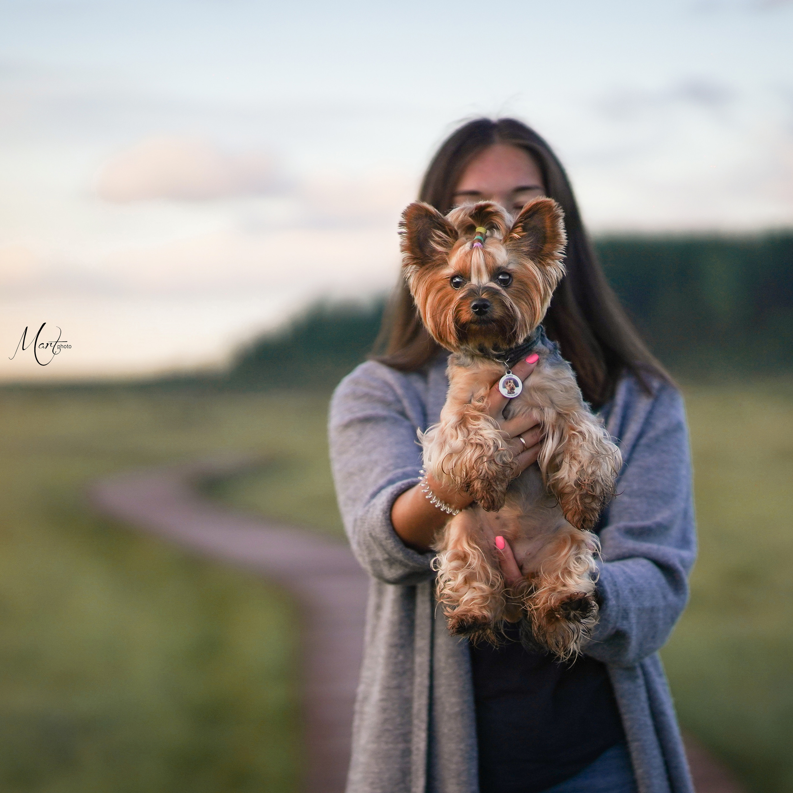 Сестрорецкое болото