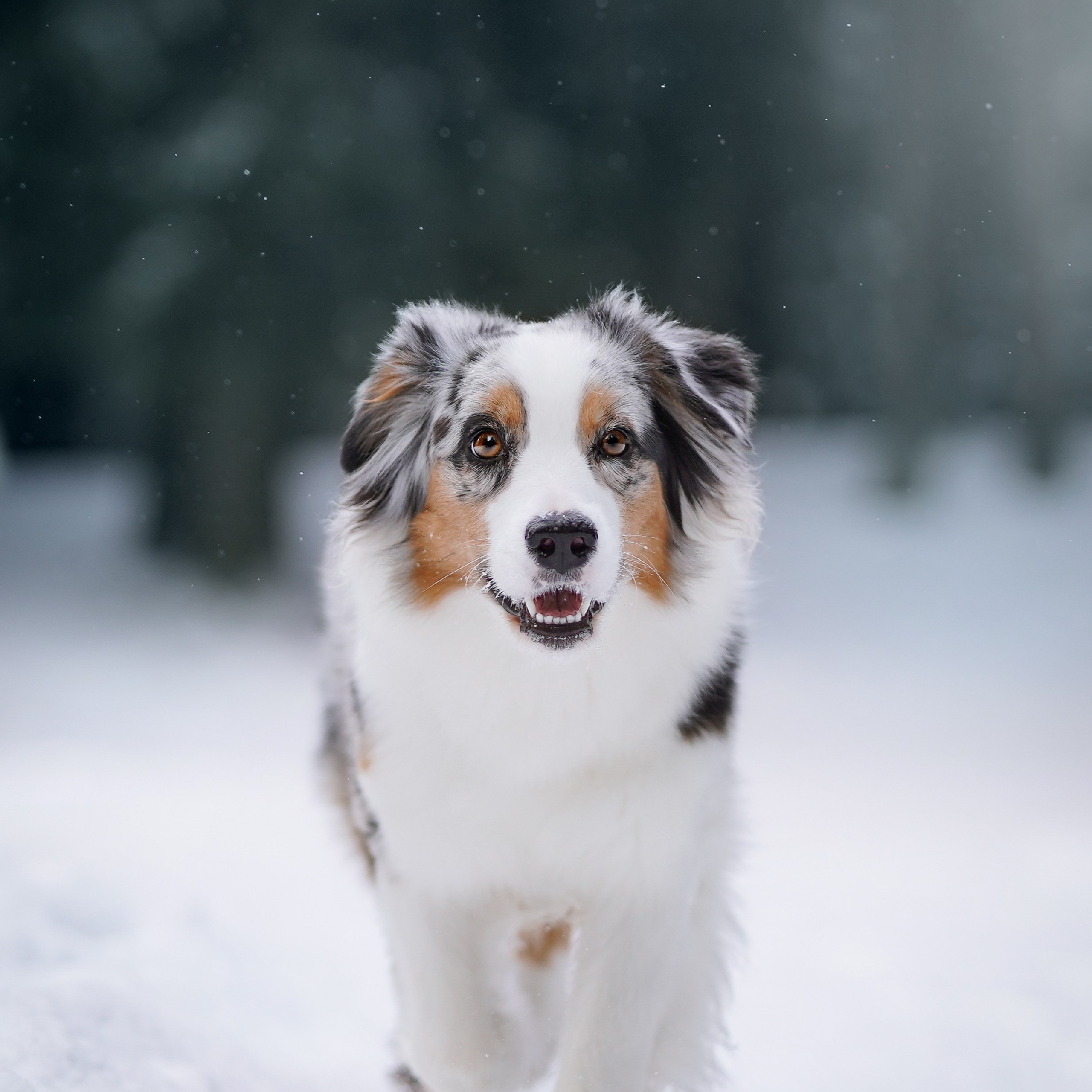 Ирина и Кайса