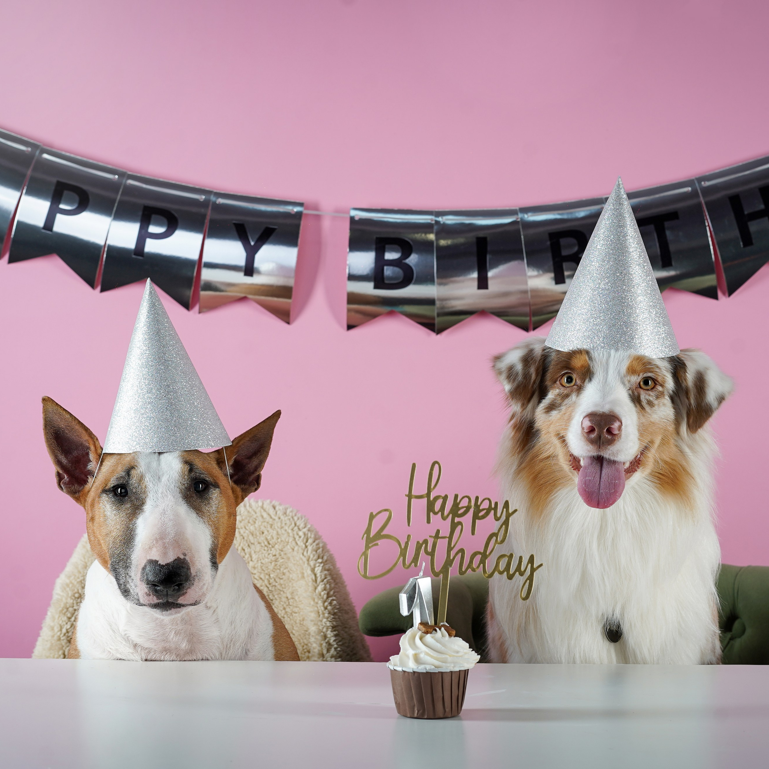 День Рождения Панды