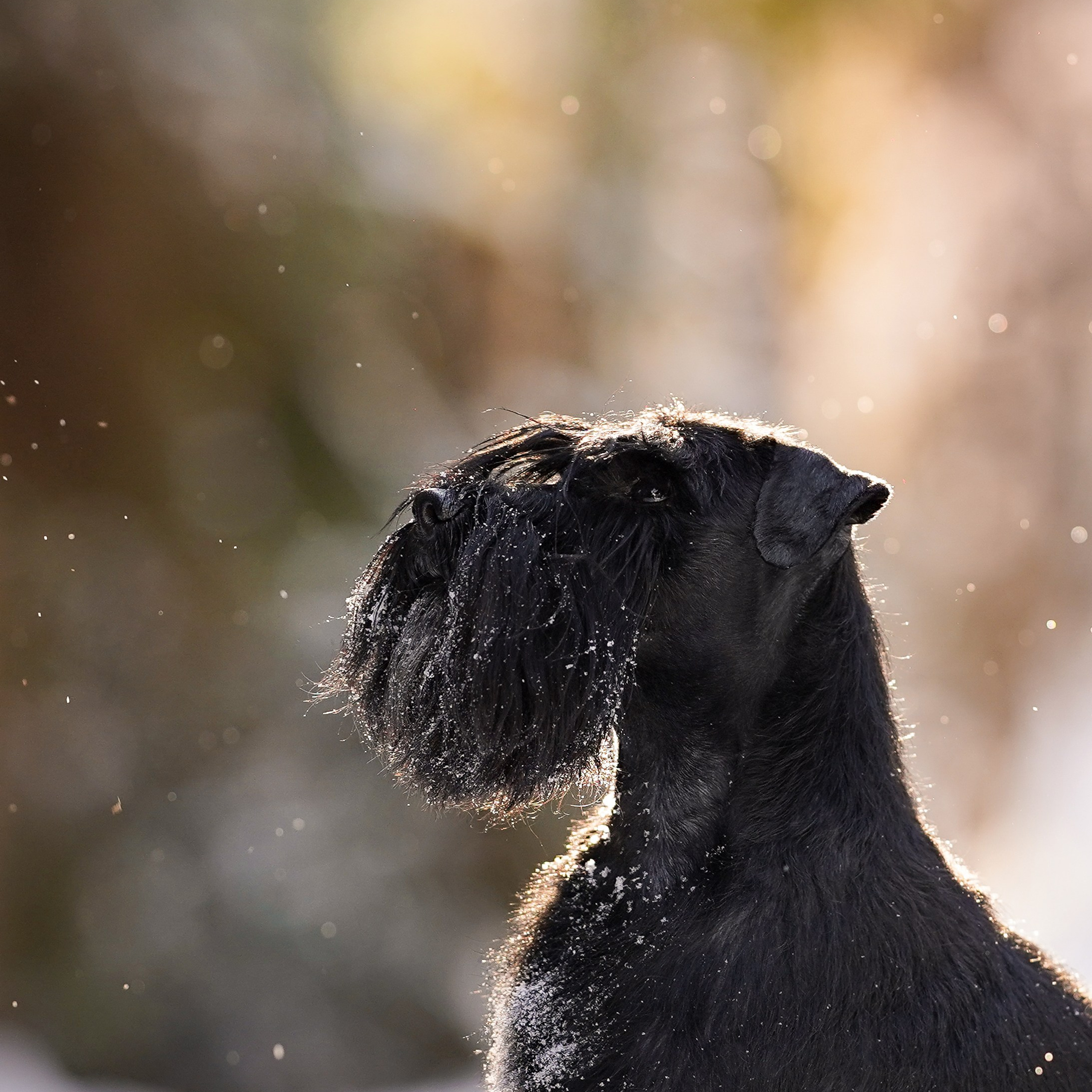 Настя Энзо и&nbsp;Мия