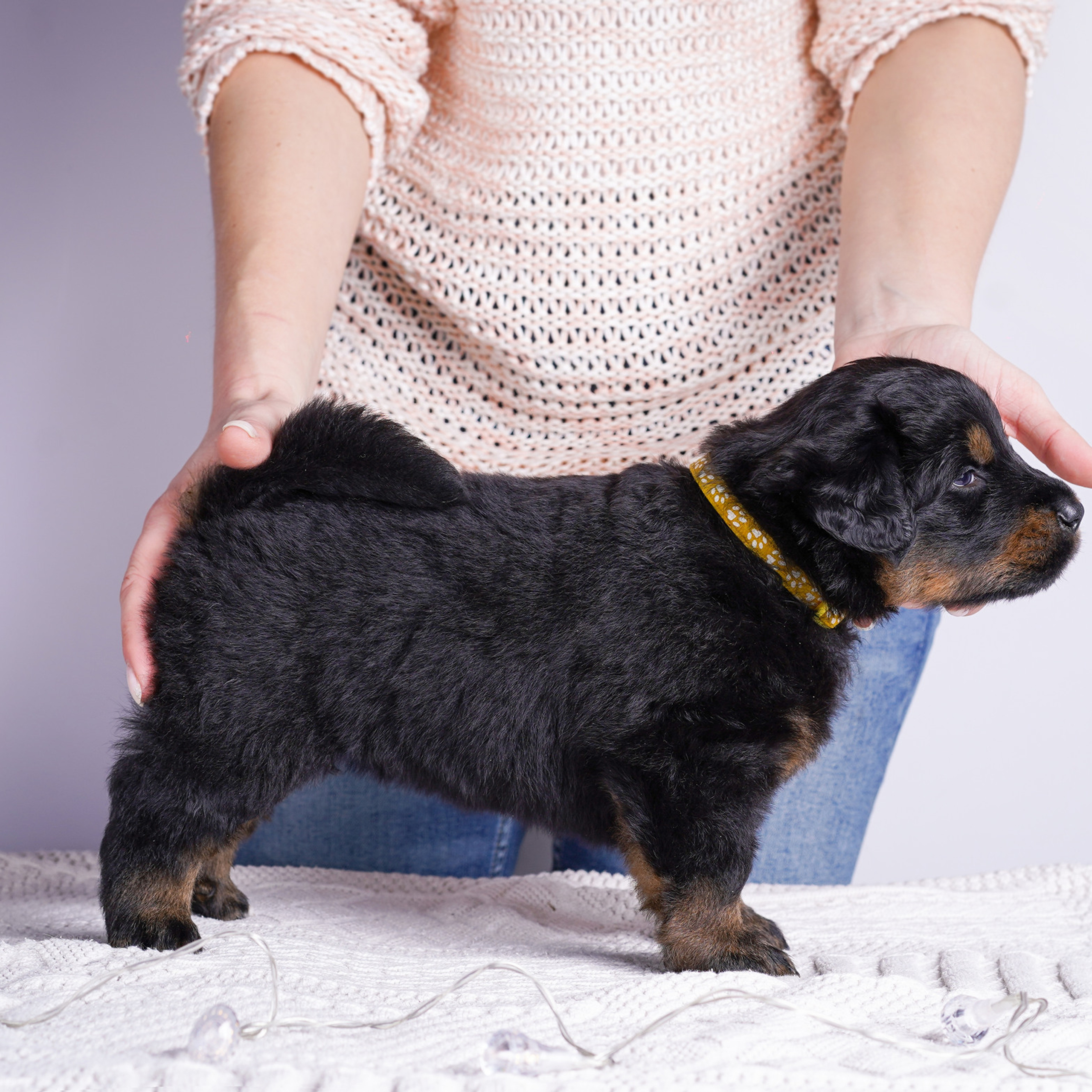 Отзывы. Фотограф-анималист в Санкт-Петербурге Яна Мартынова