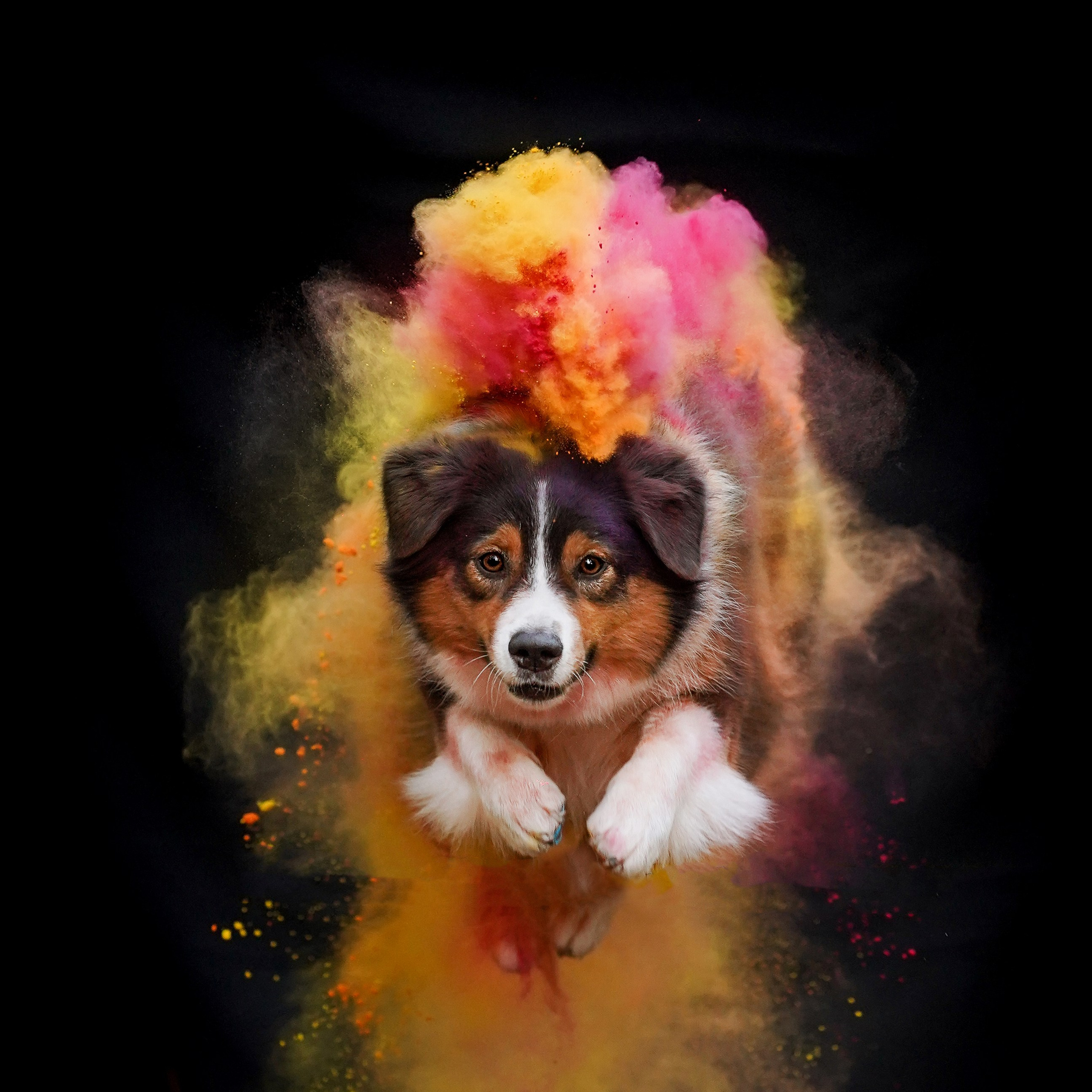 Съемка с красками холли