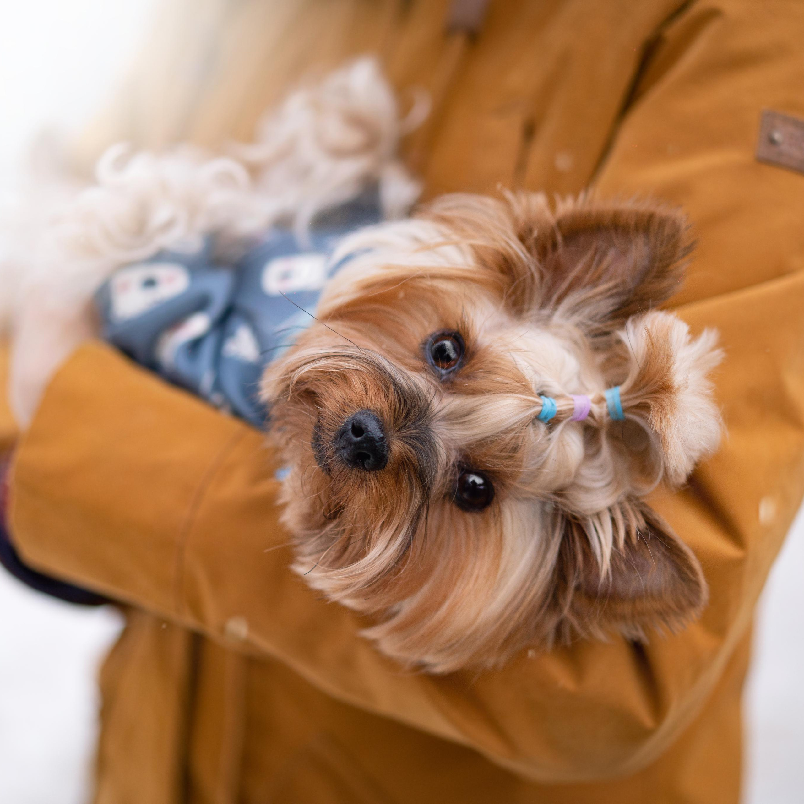 Эффи, Юни зима 23'