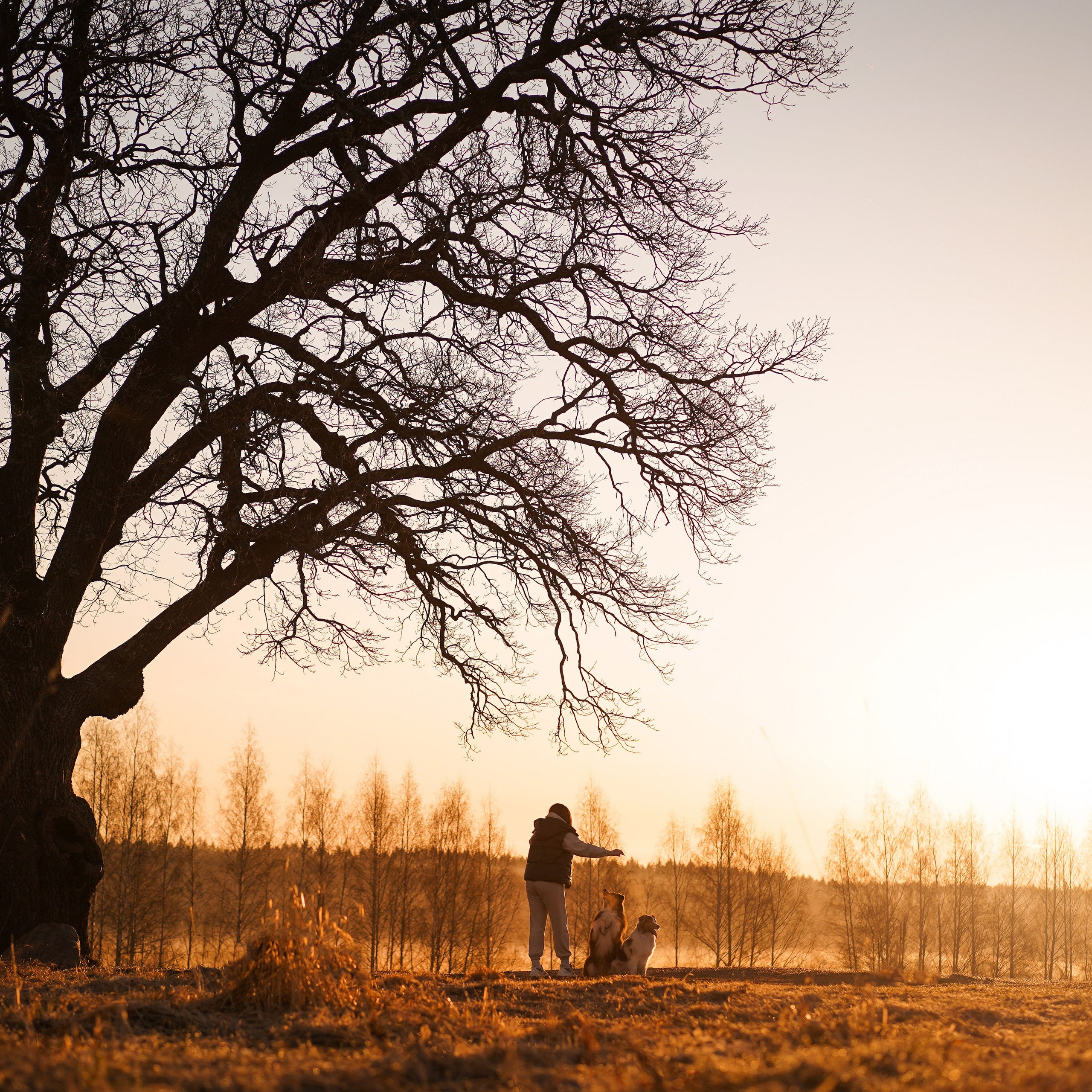 Кристина Рокки и Валькирия