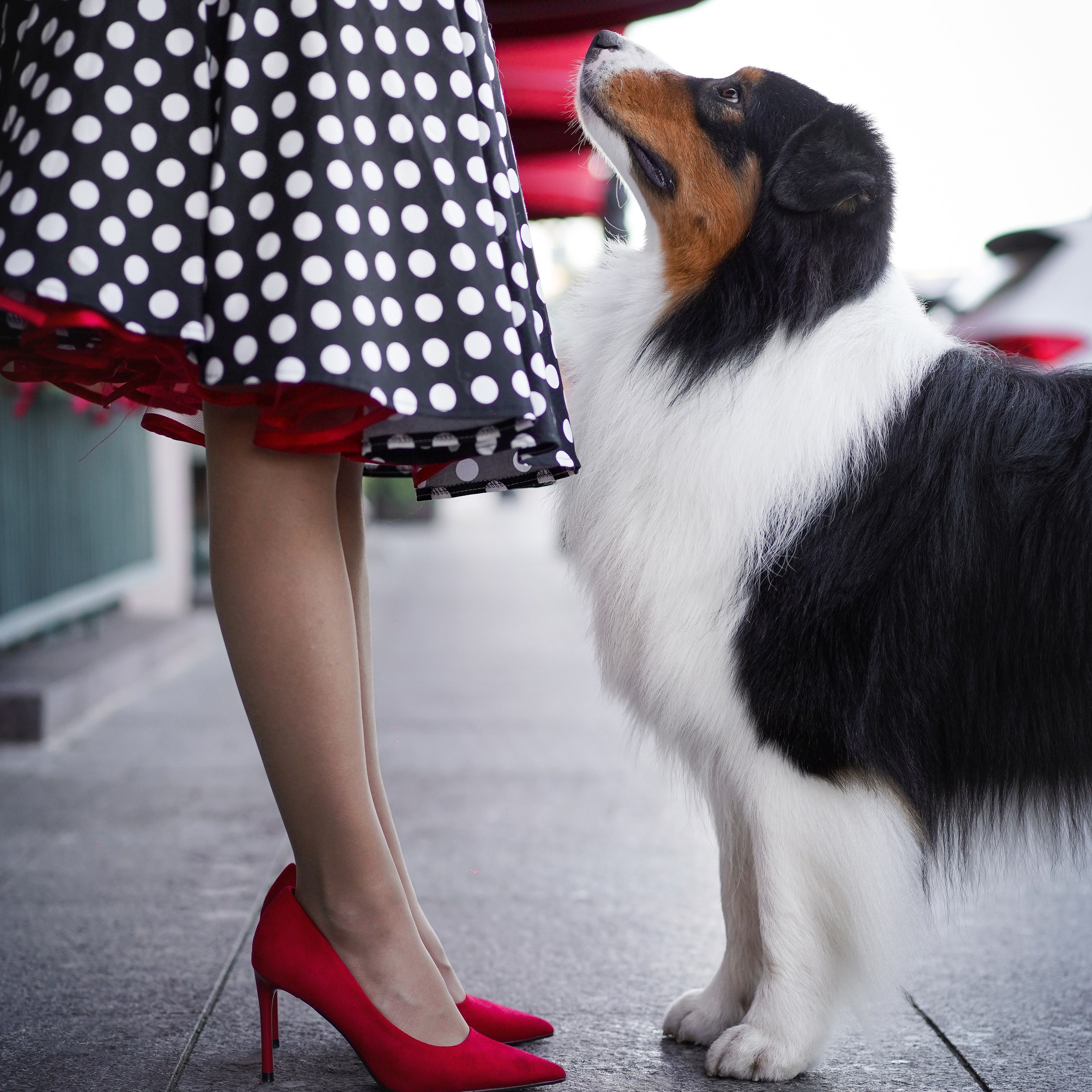 Кристина Катя Бэст и Рокки