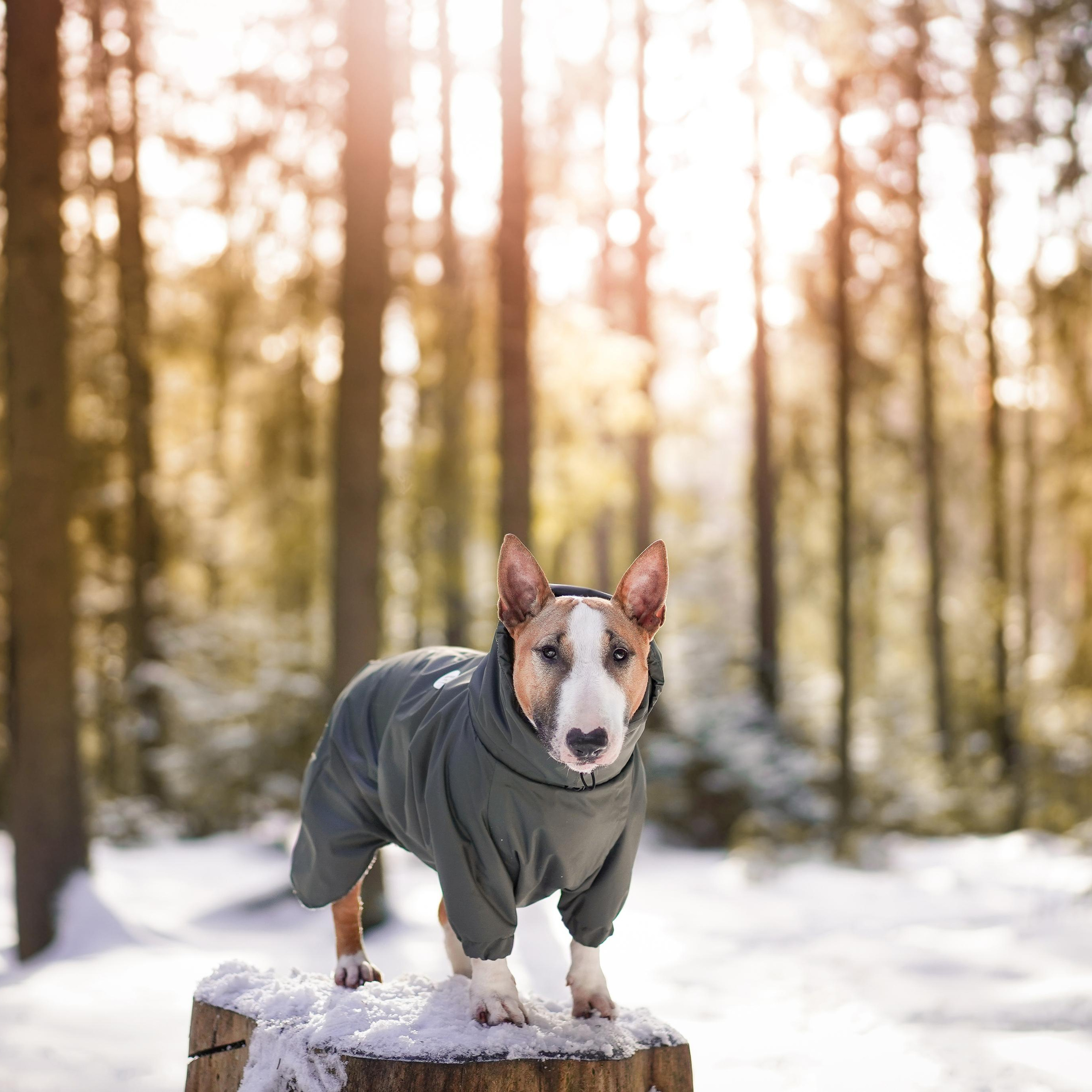 Юни и Эффи весна 23'