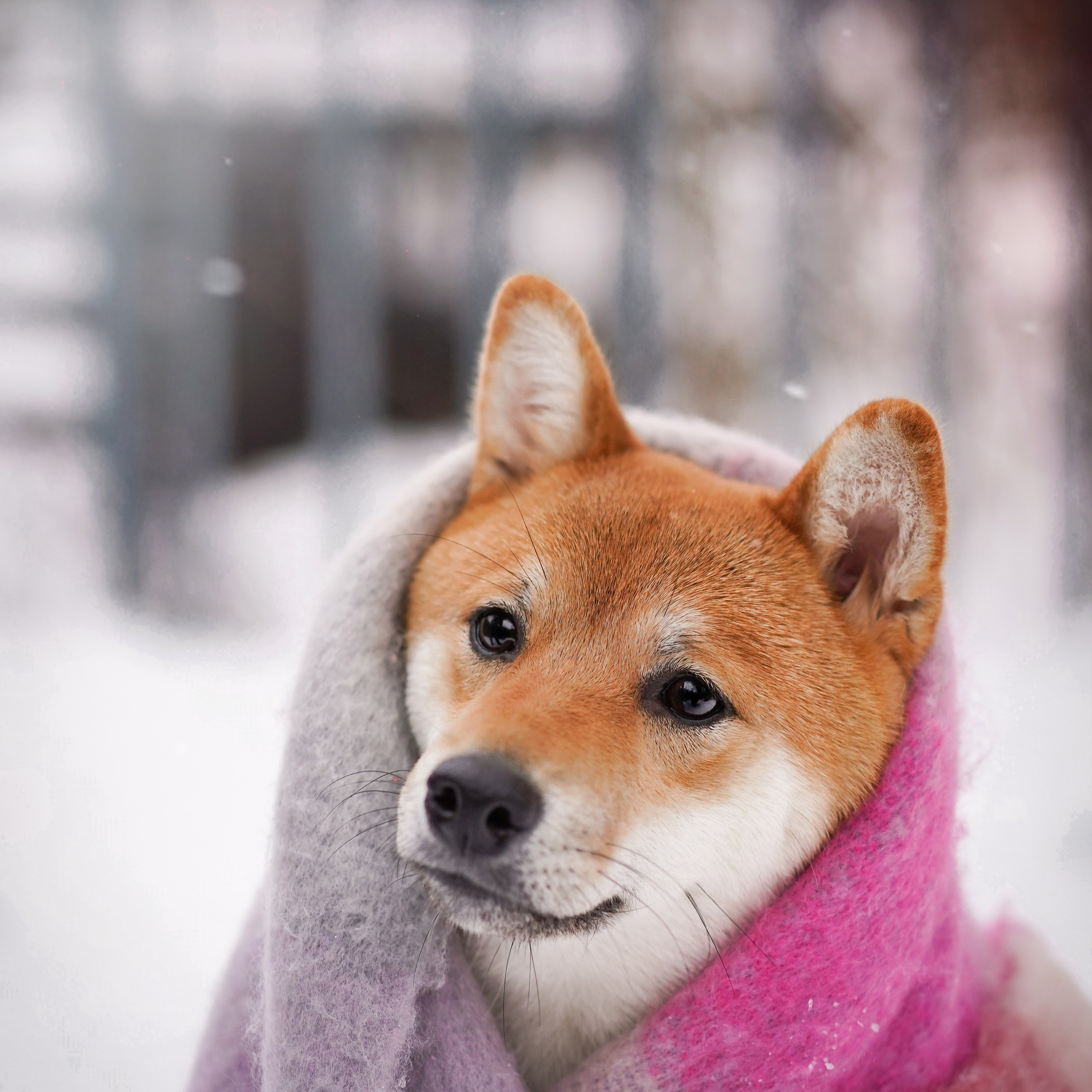 Алина и Юми