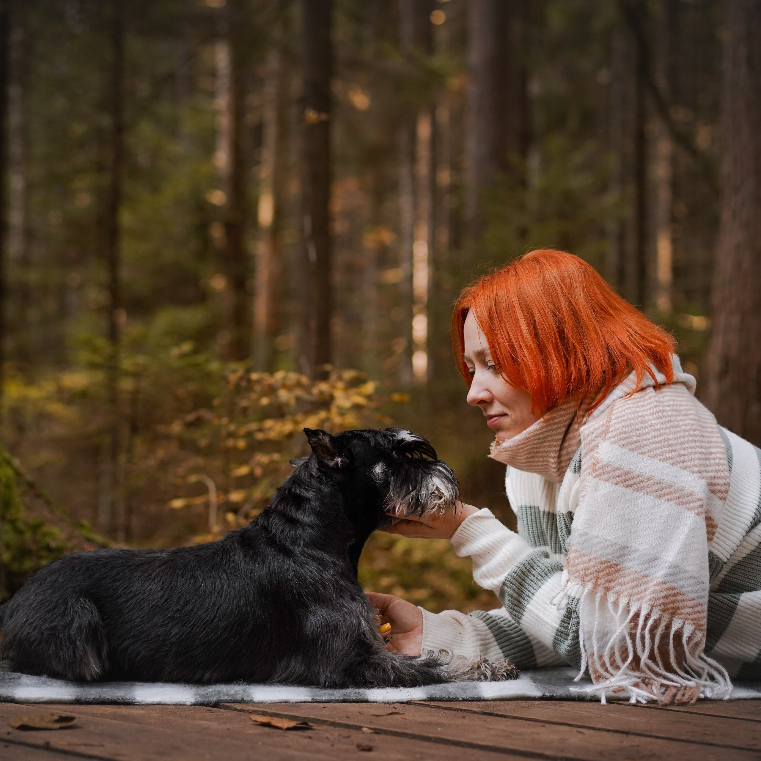 Оля Миша и шнауцеры