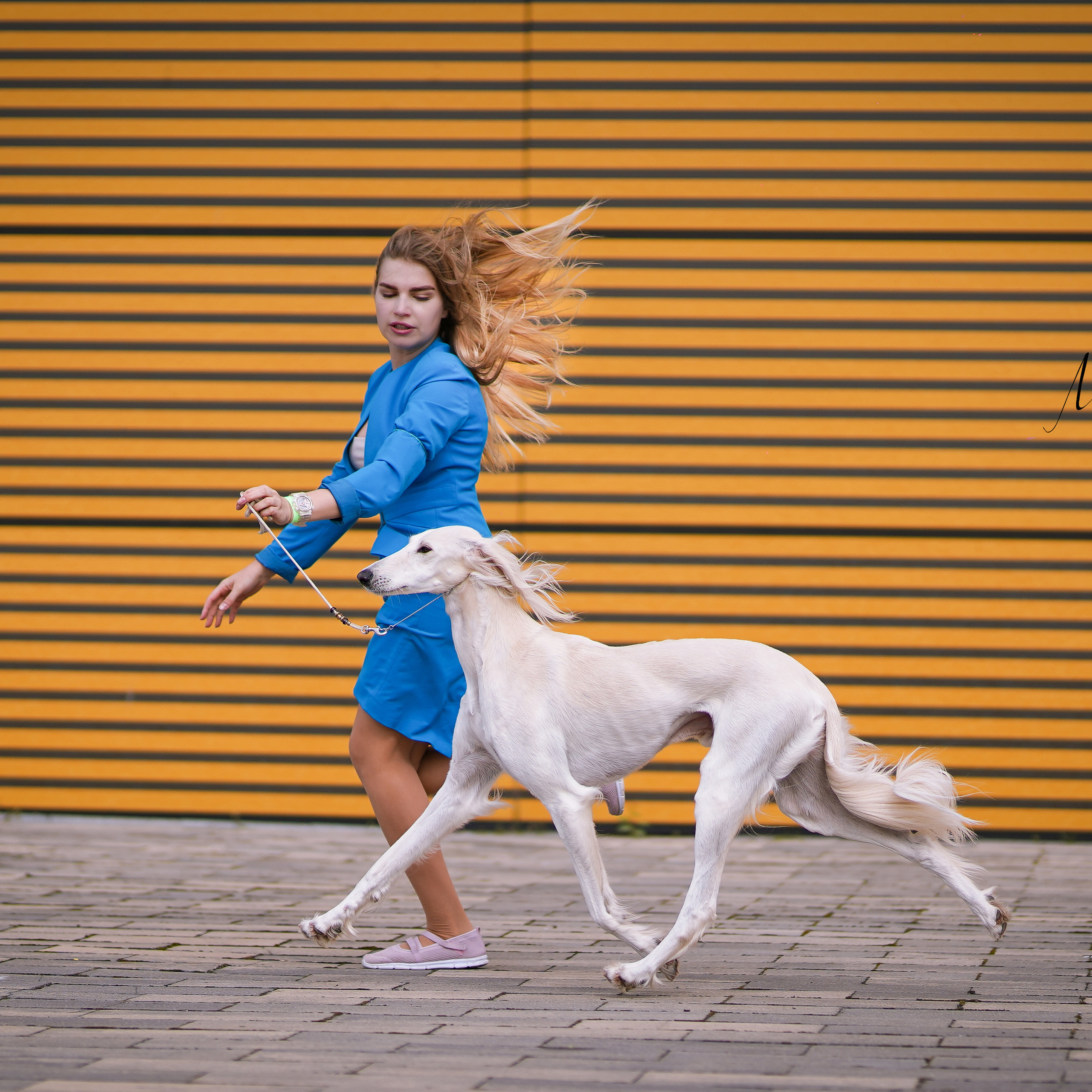 Экстерьерная съемка 2022