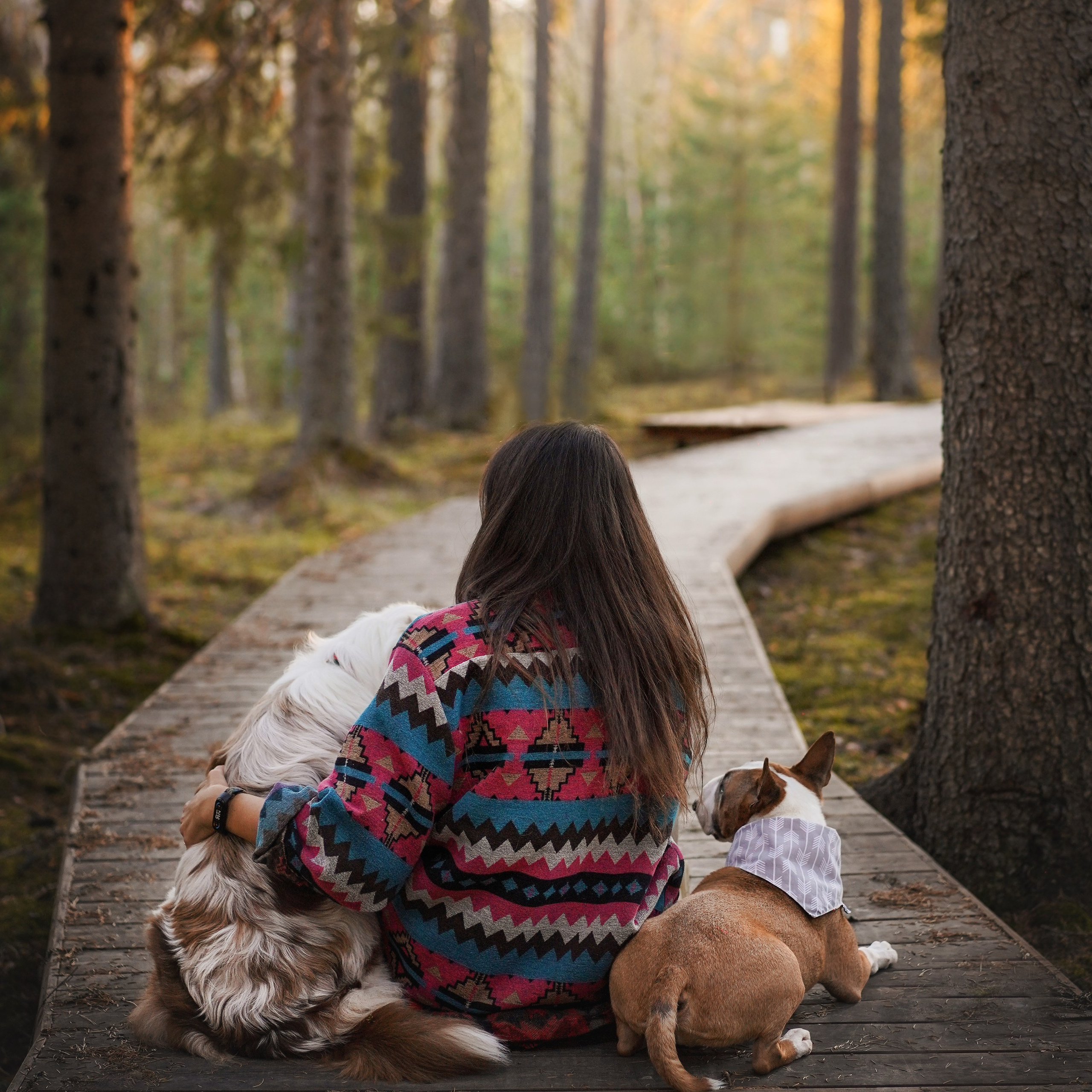 Юни Панда тропа Ярви