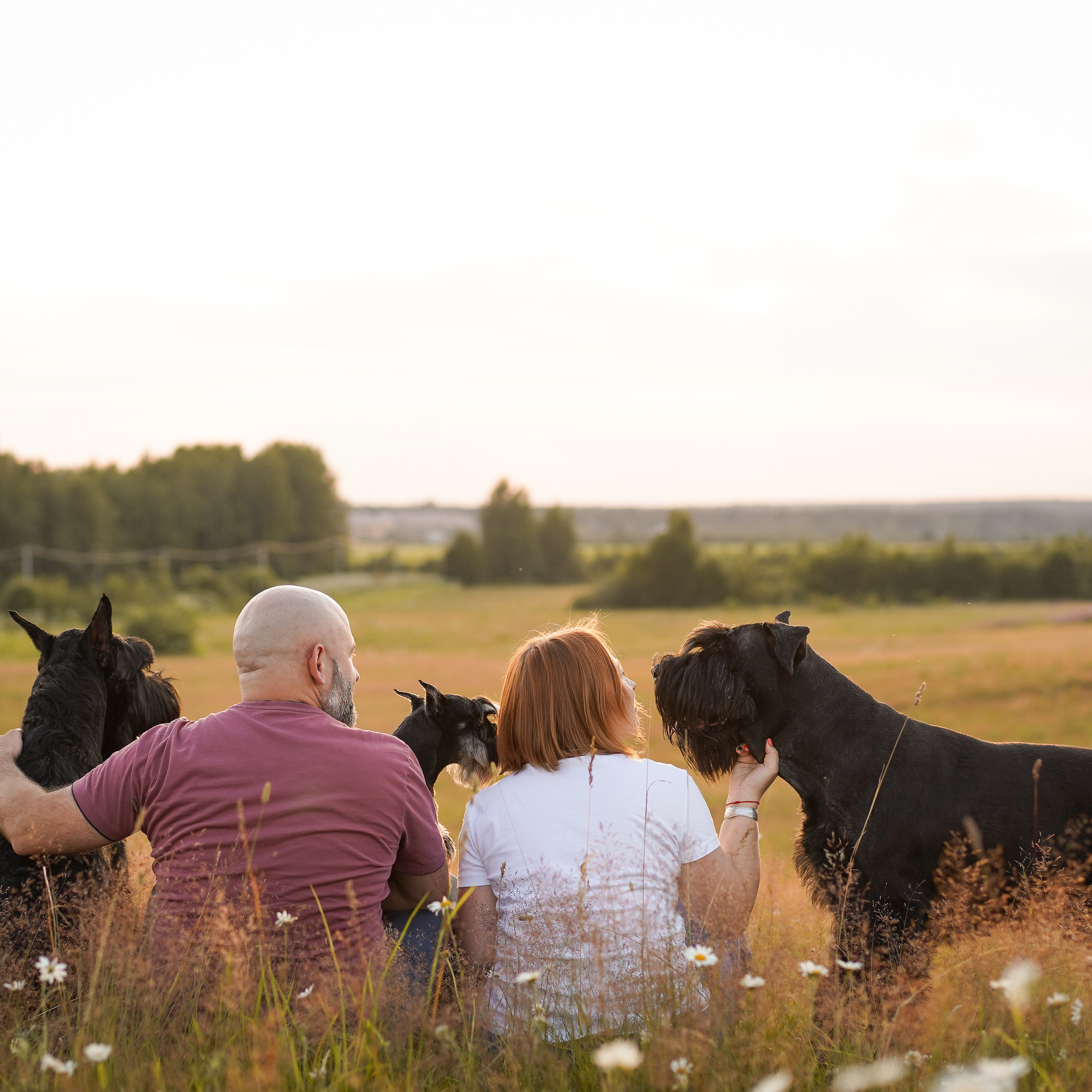 Отзывы. Фотограф-анималист в Санкт-Петербурге Яна Мартынова