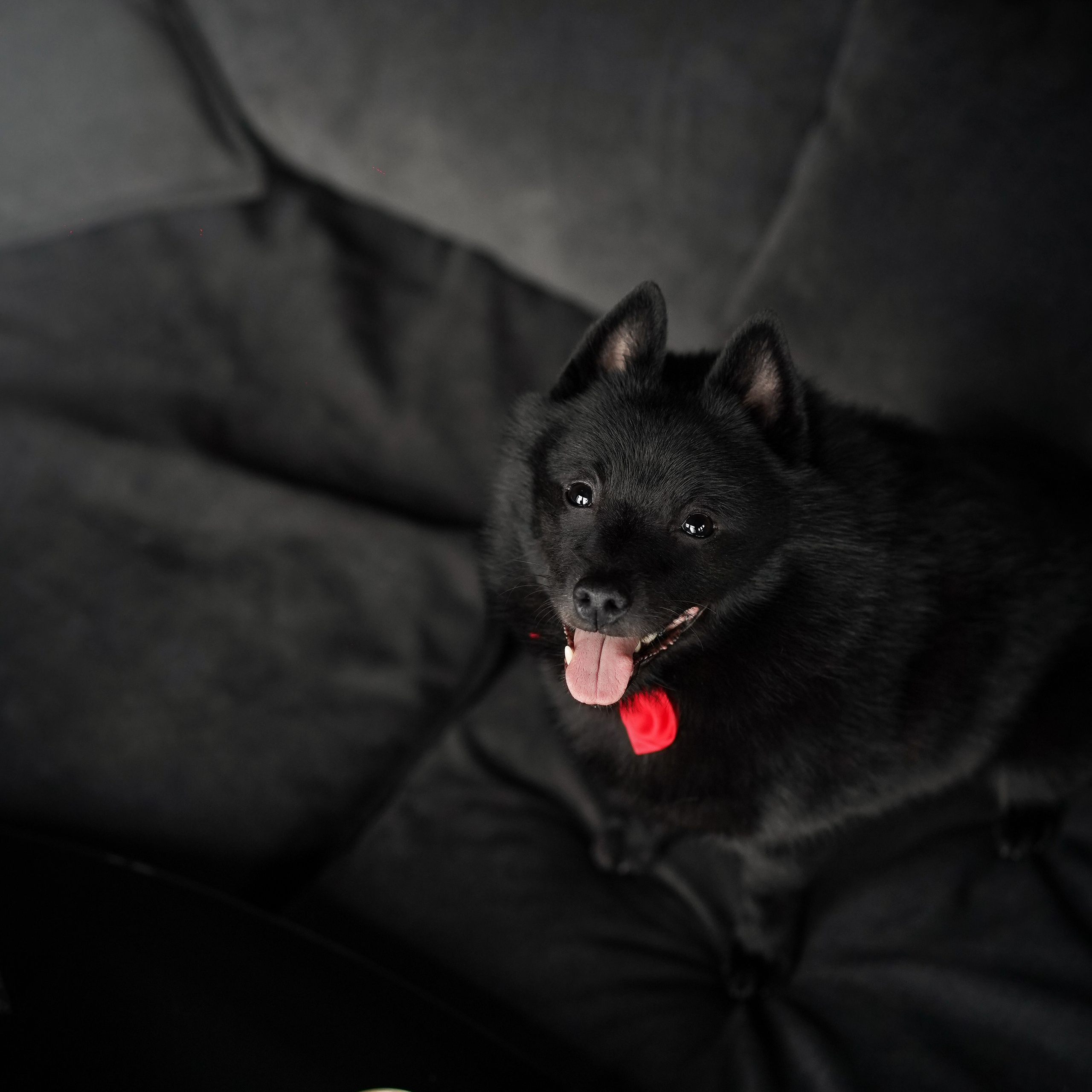 Аня и Майкл