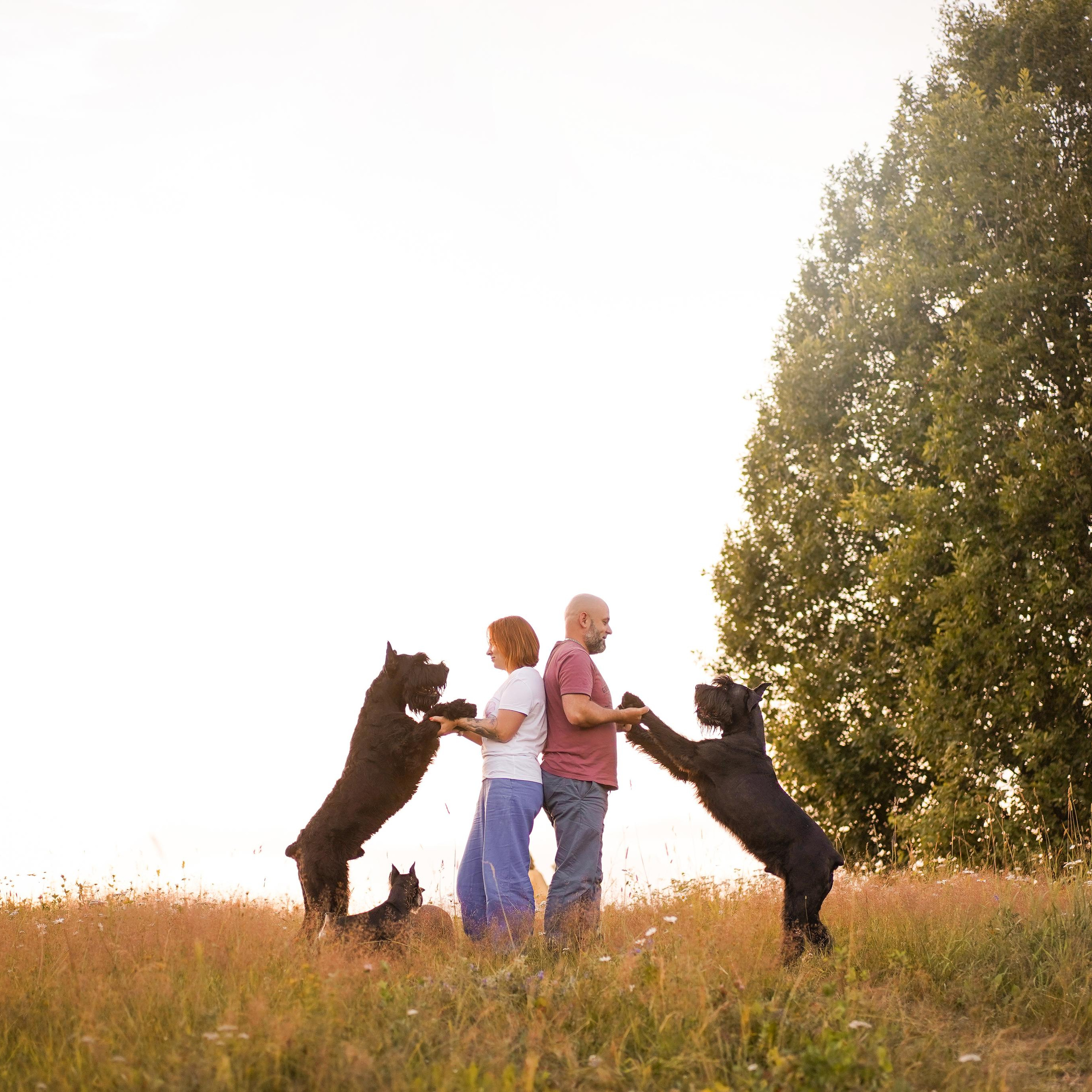 Оля Миша и песели