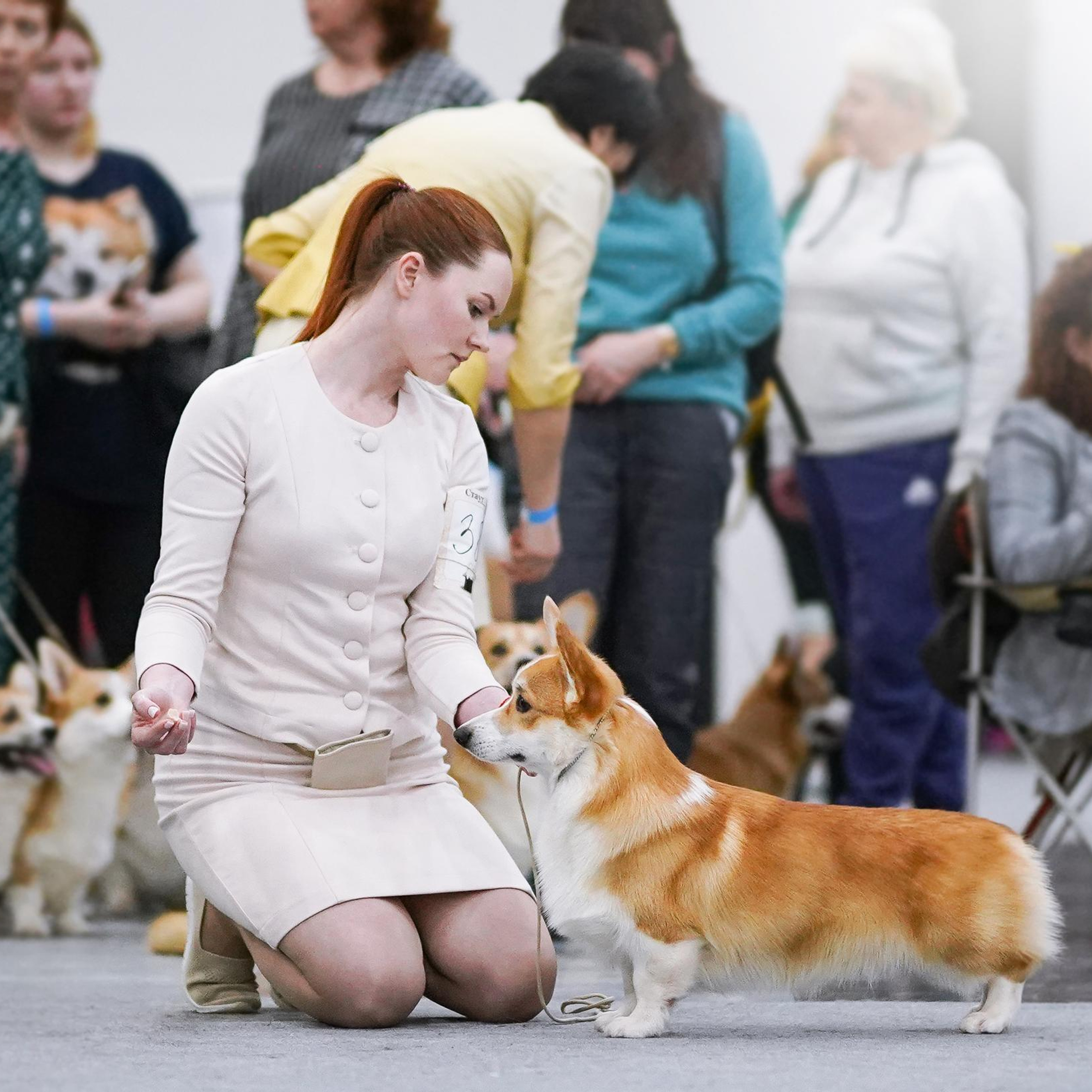 Отзывы. Фотограф-анималист в Санкт-Петербурге Яна Мартынова
