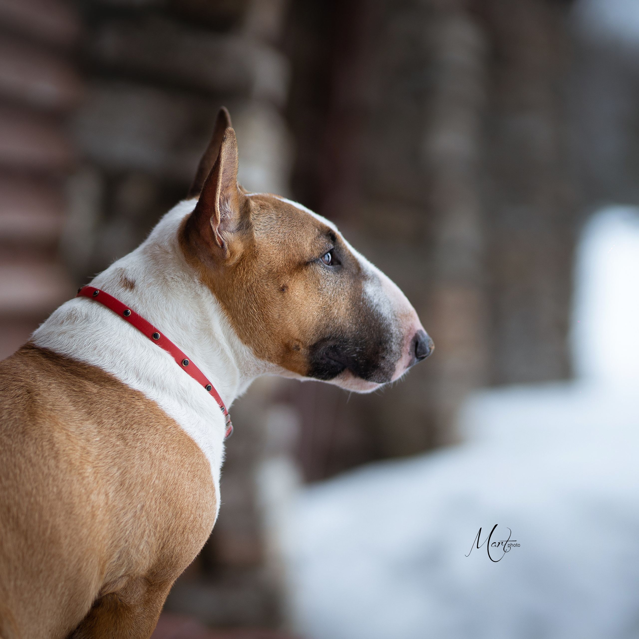 Пляж Финского залива в марте
