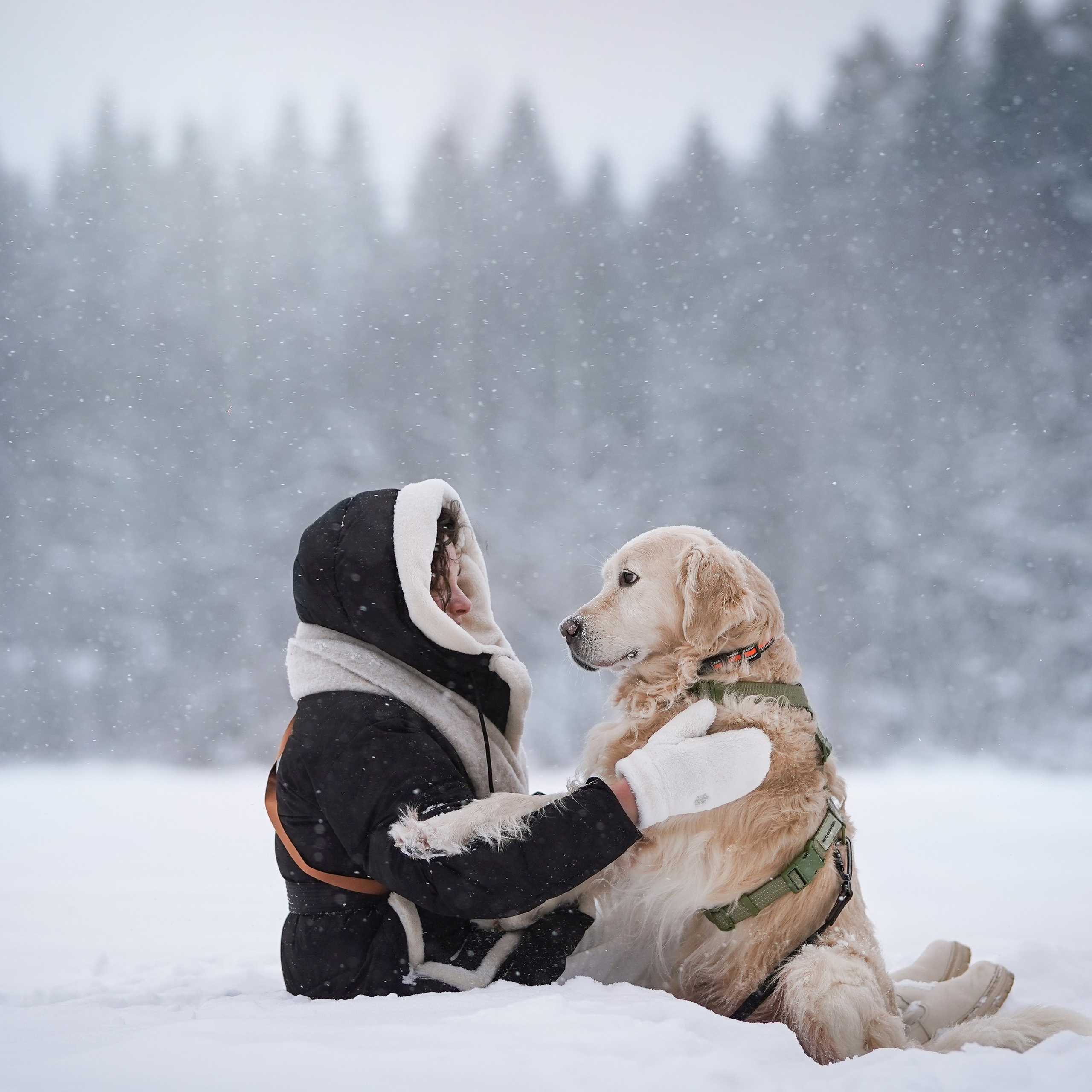 Настя и Арчи