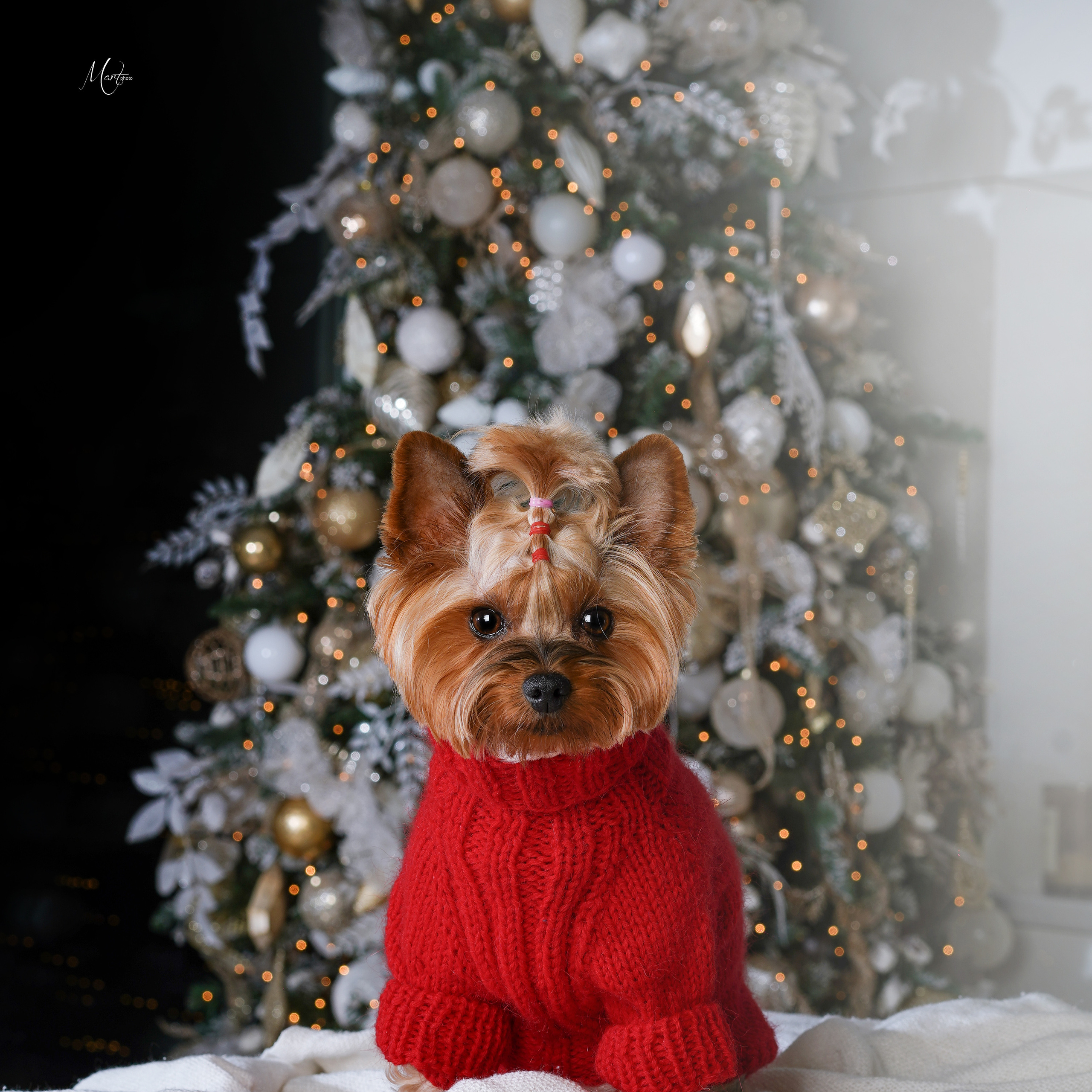 Юни и Эффи HNY