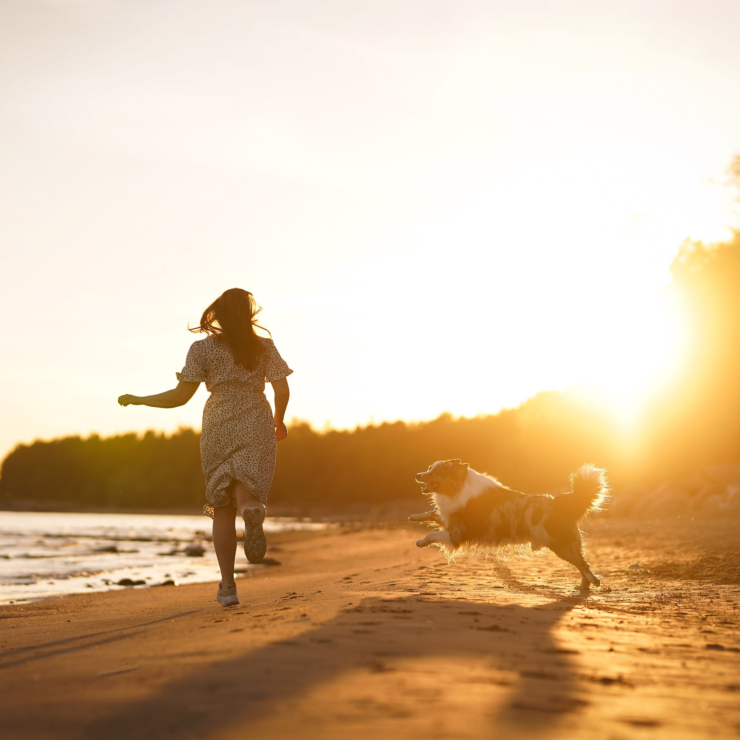 Вероника Харви и Лени