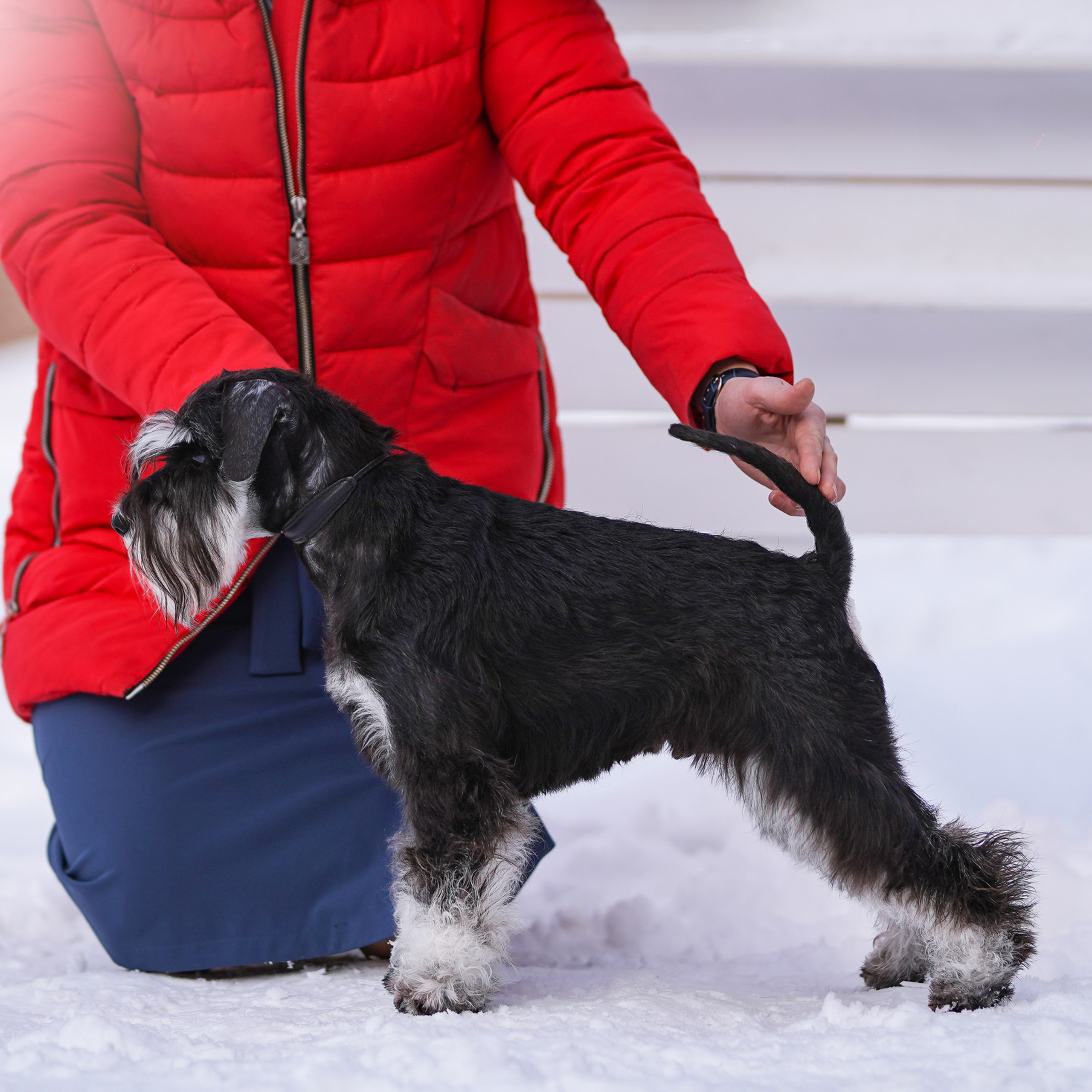 Отзывы. Фотограф-анималист в Санкт-Петербурге Яна Мартынова