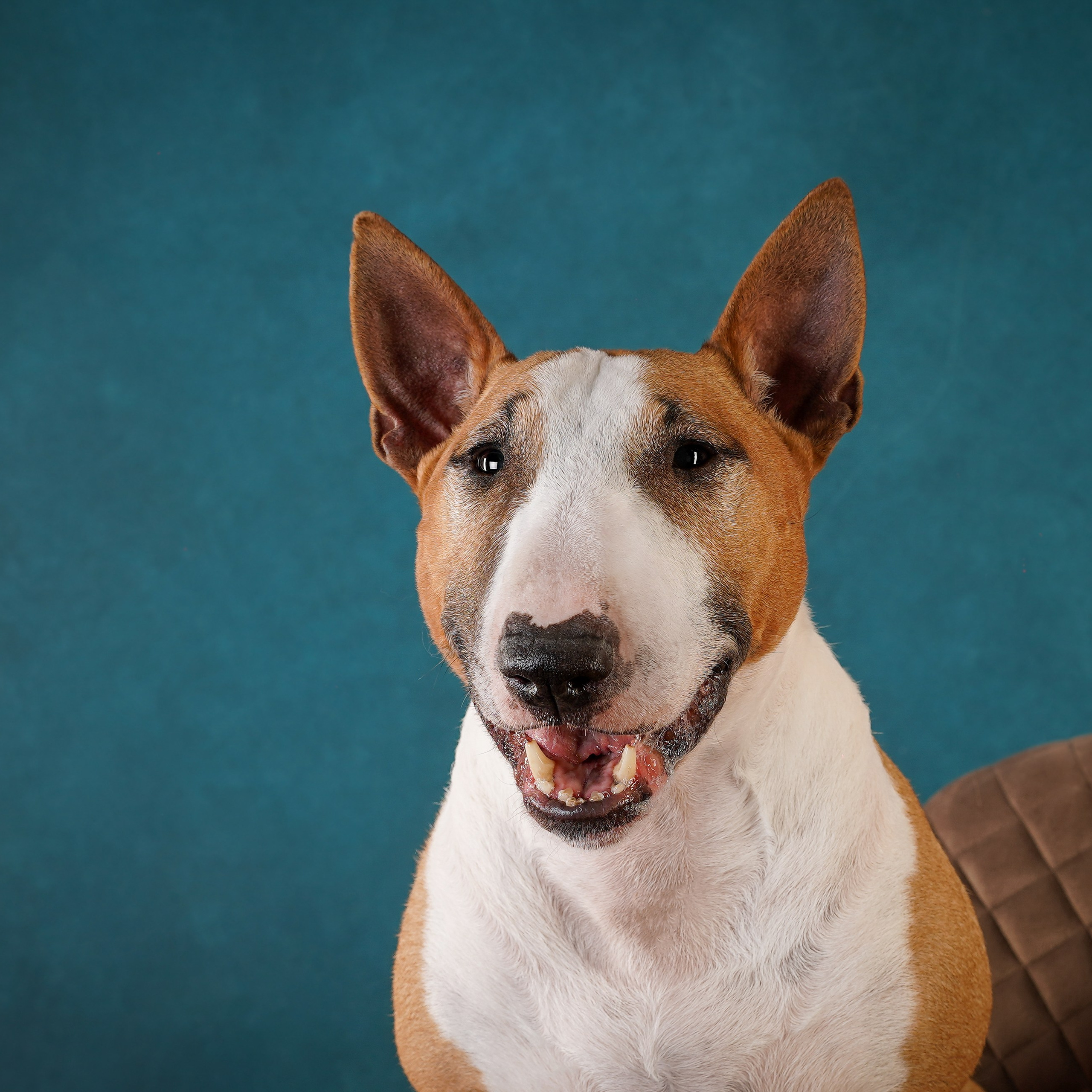 Юни и Панда