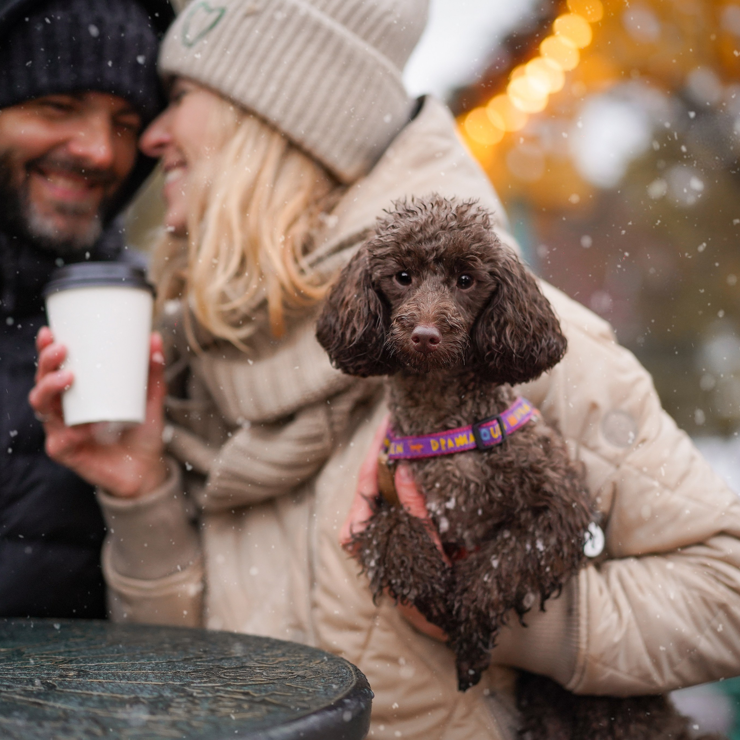 Марина Артем Мия и Хлоя