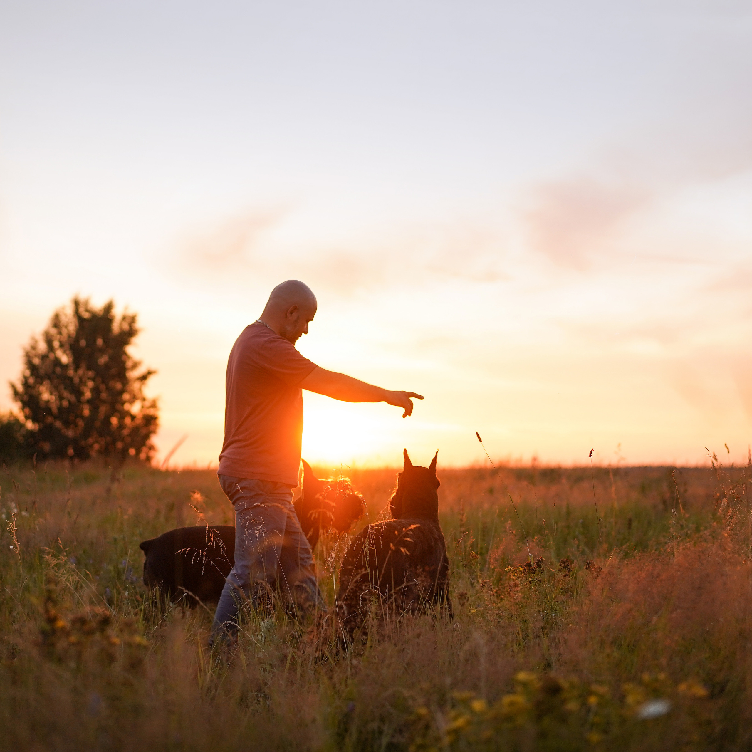 Отзывы. Фотограф-анималист в Санкт-Петербурге Яна Мартынова