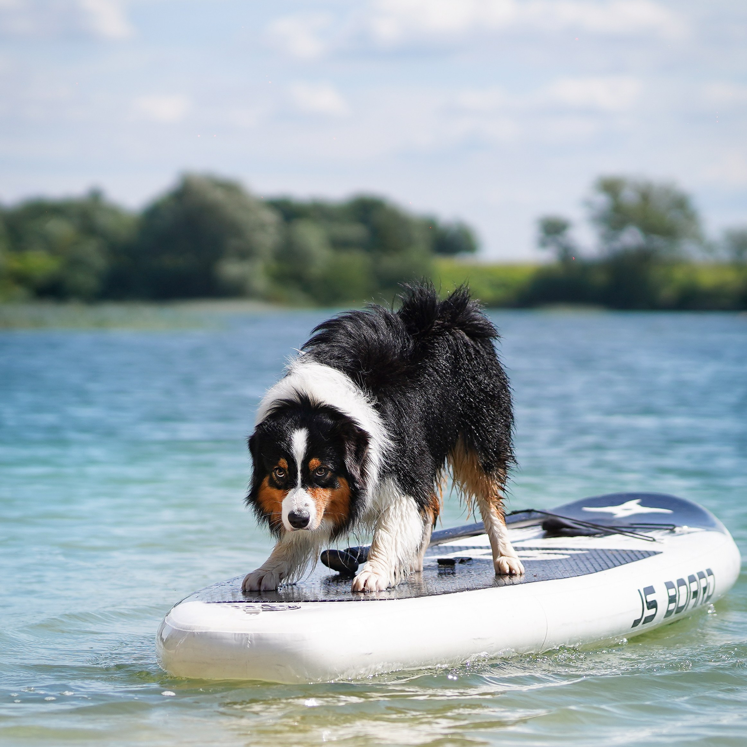 Аусси на карьерах