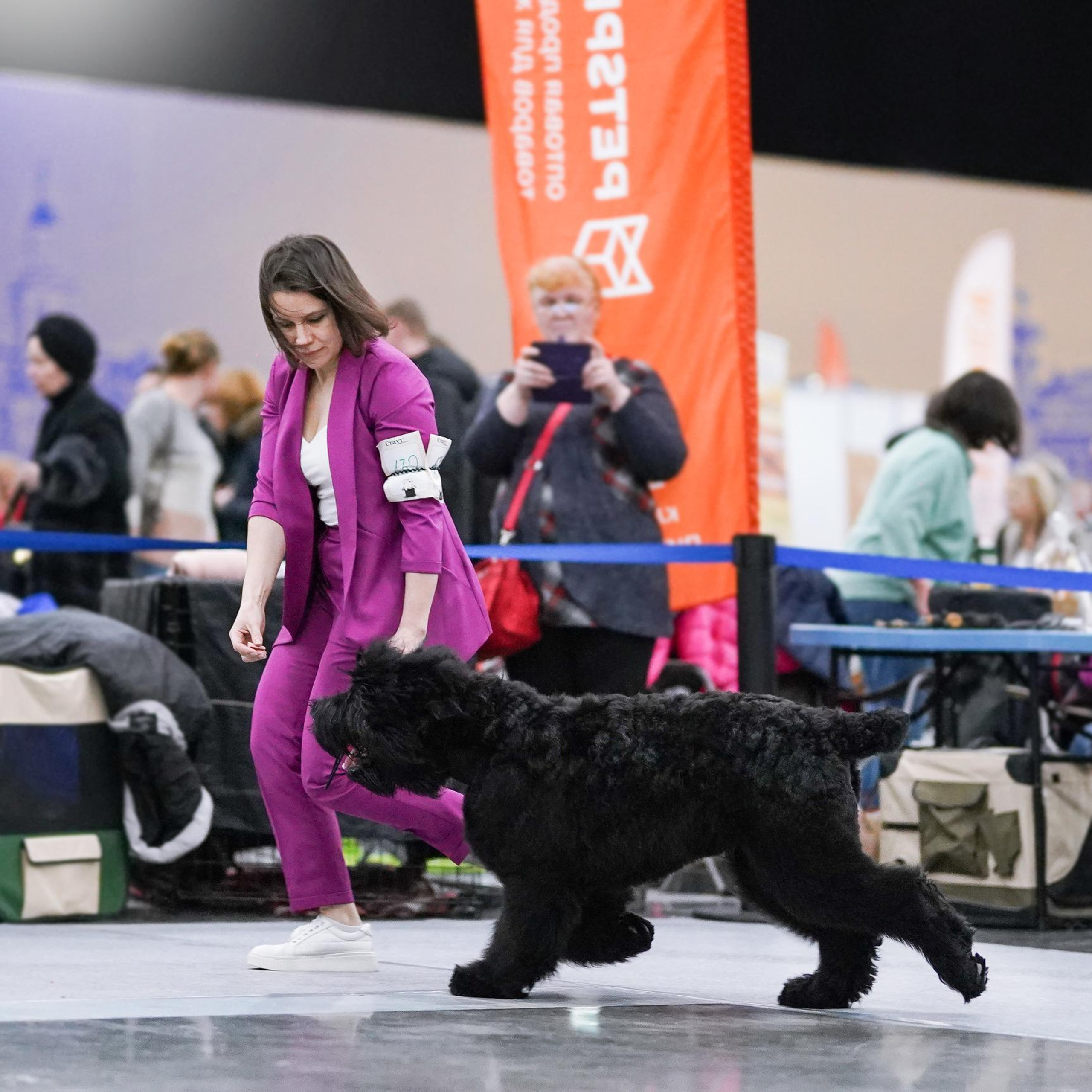 Отзывы. Фотограф-анималист в Санкт-Петербурге Яна Мартынова