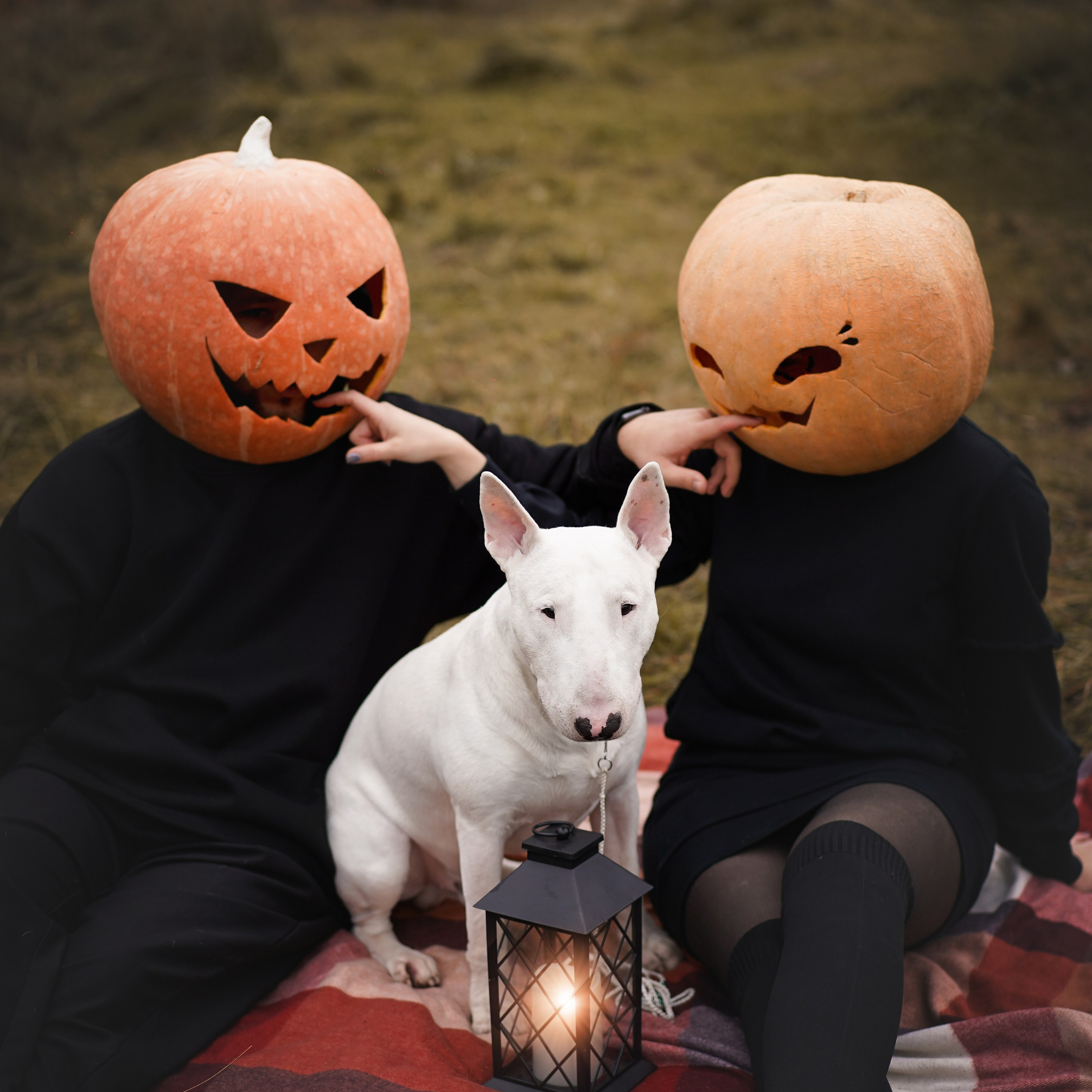 Настя Рома и Сахар Хелоуин